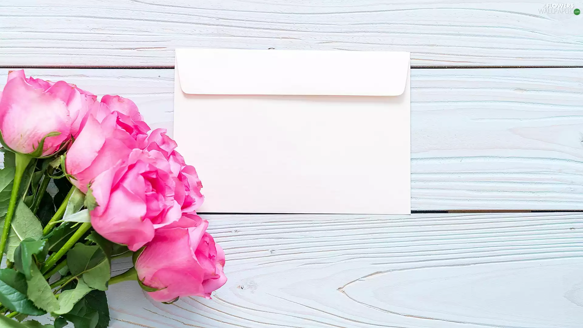 envelope, decoration, roses