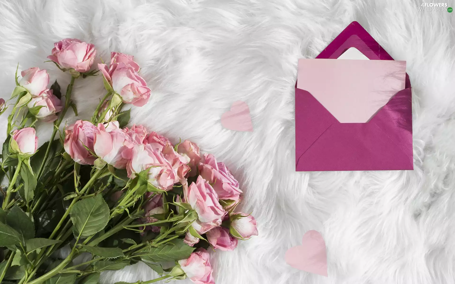 envelope, Pink, roses
