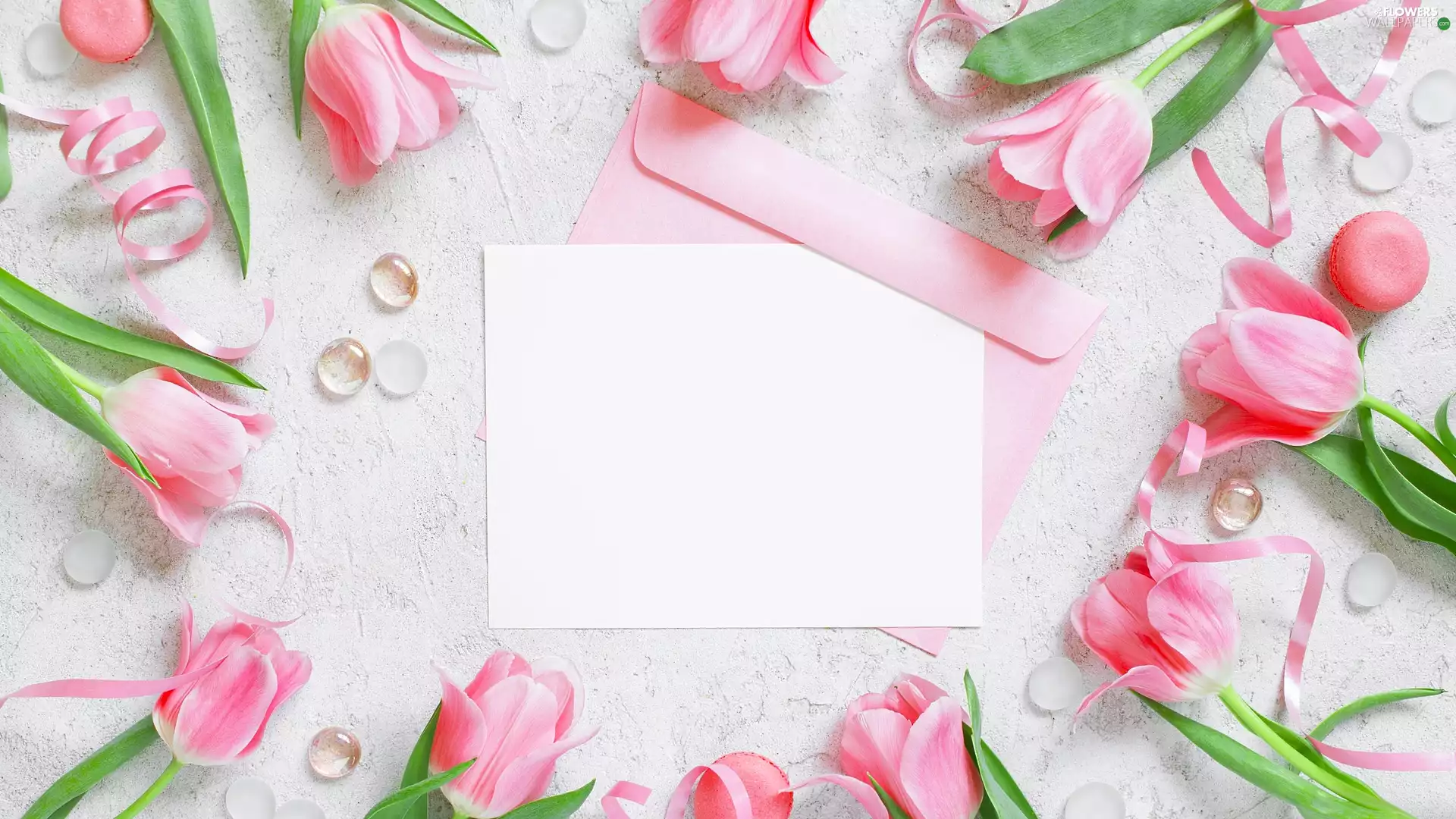 The slides, Tulips, card, ribbon, Pink, White, envelope