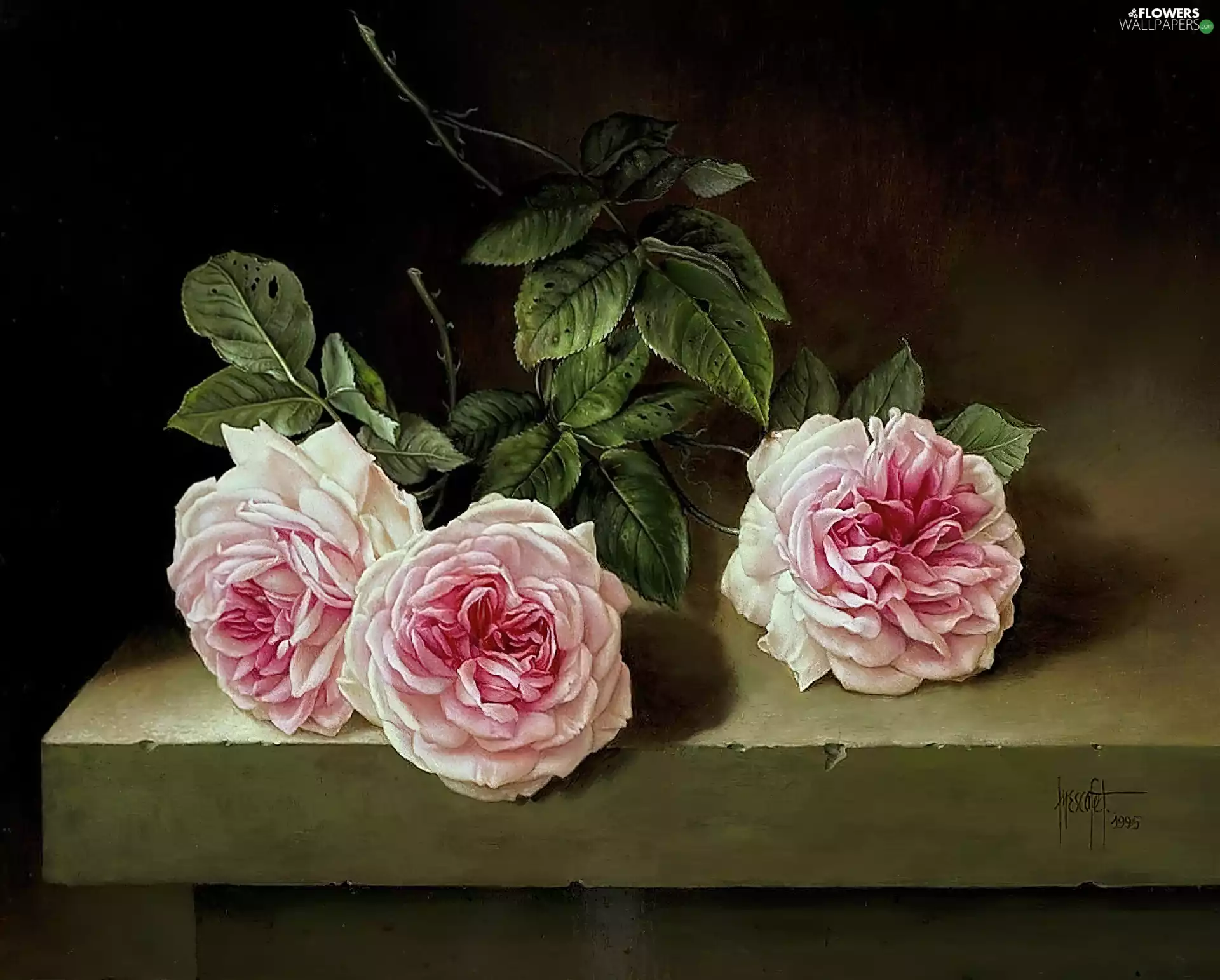 Jose, Escofet, roses, Table, Pink