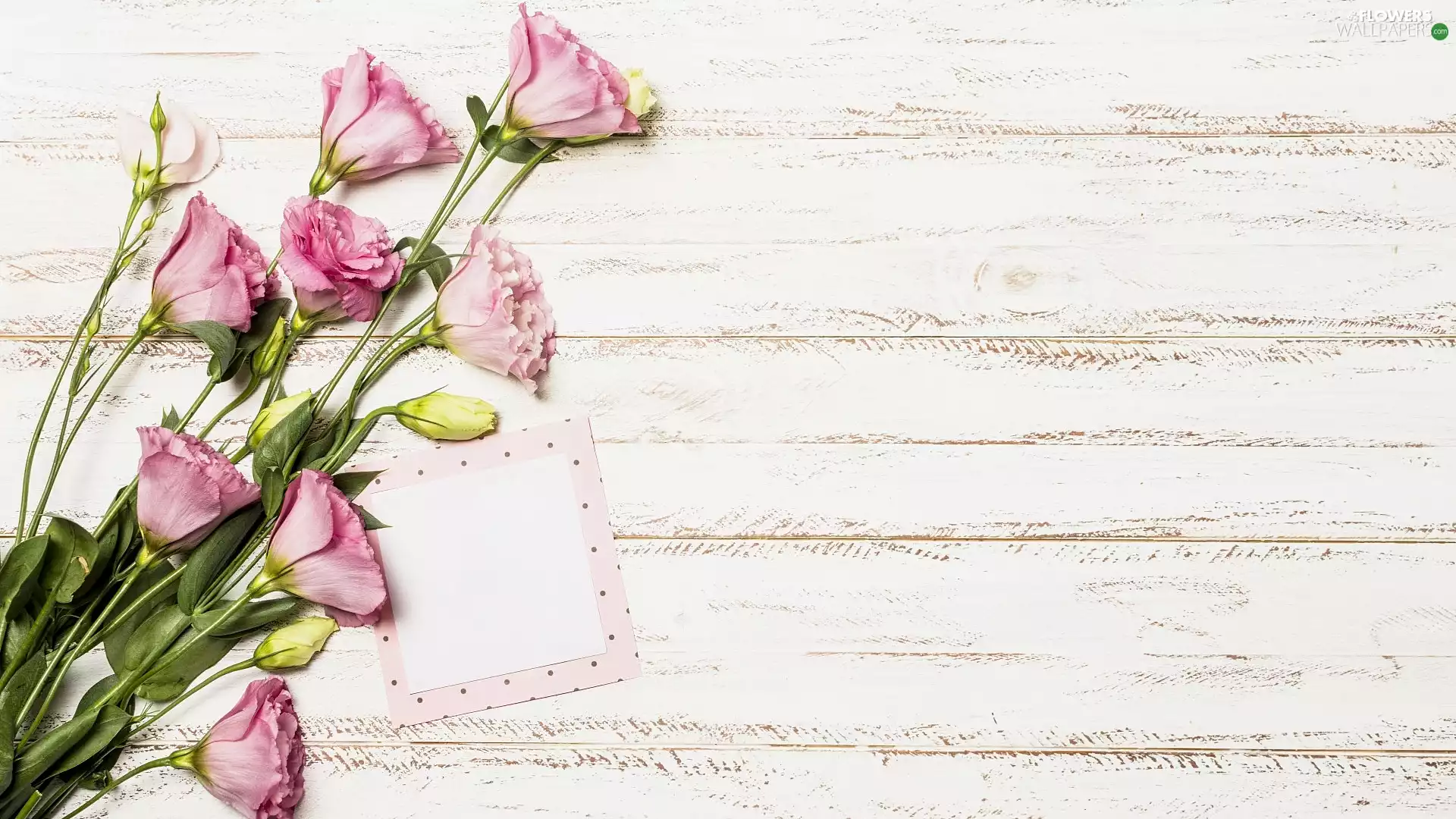 Flowers, card, boarding, Eustoma