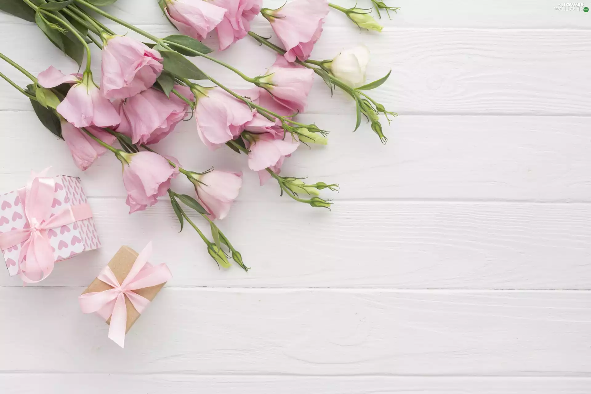 Flowers, gifts, Ribbons, Eustoma