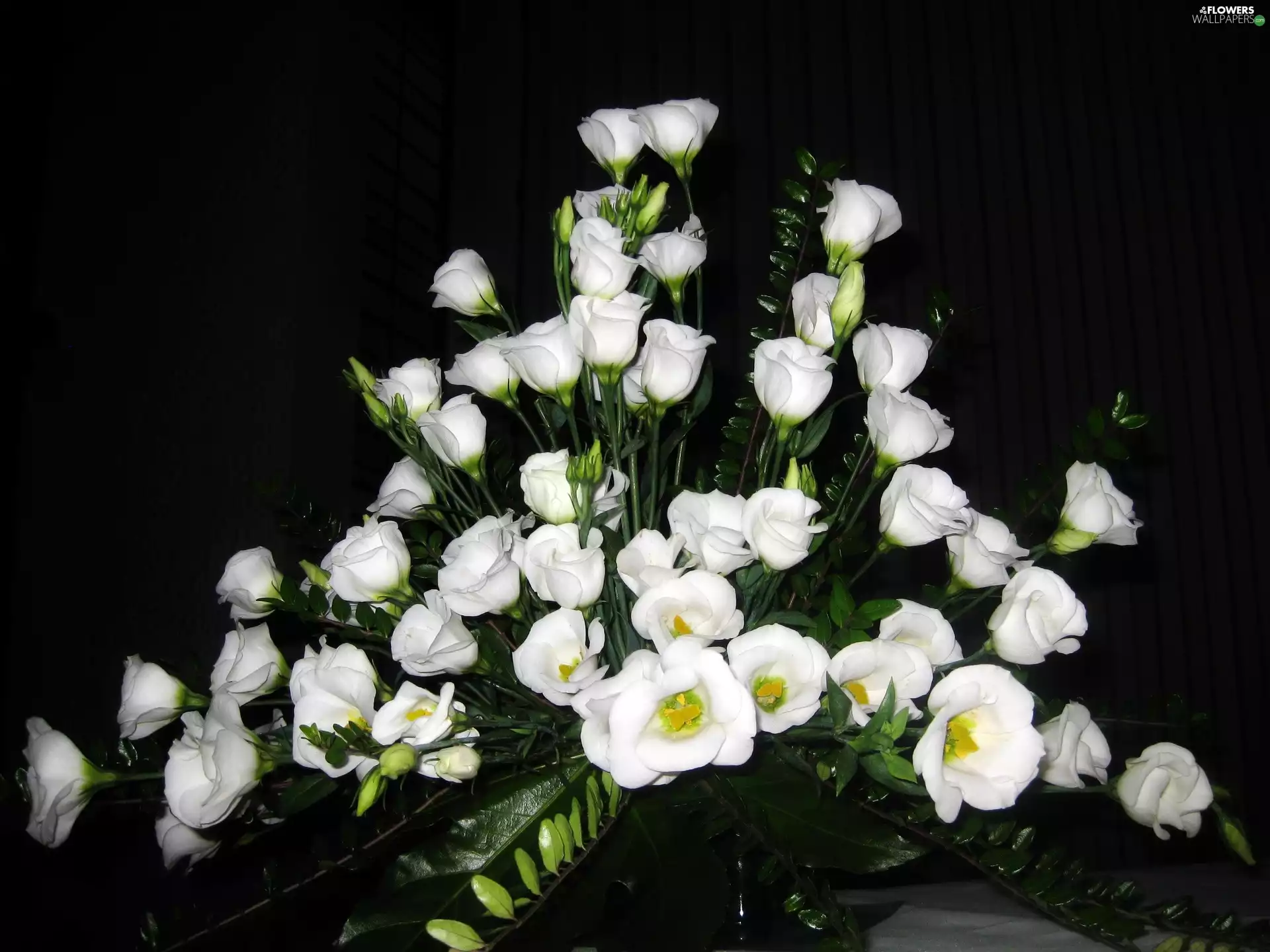 White, bouquet, composition, Eustoma