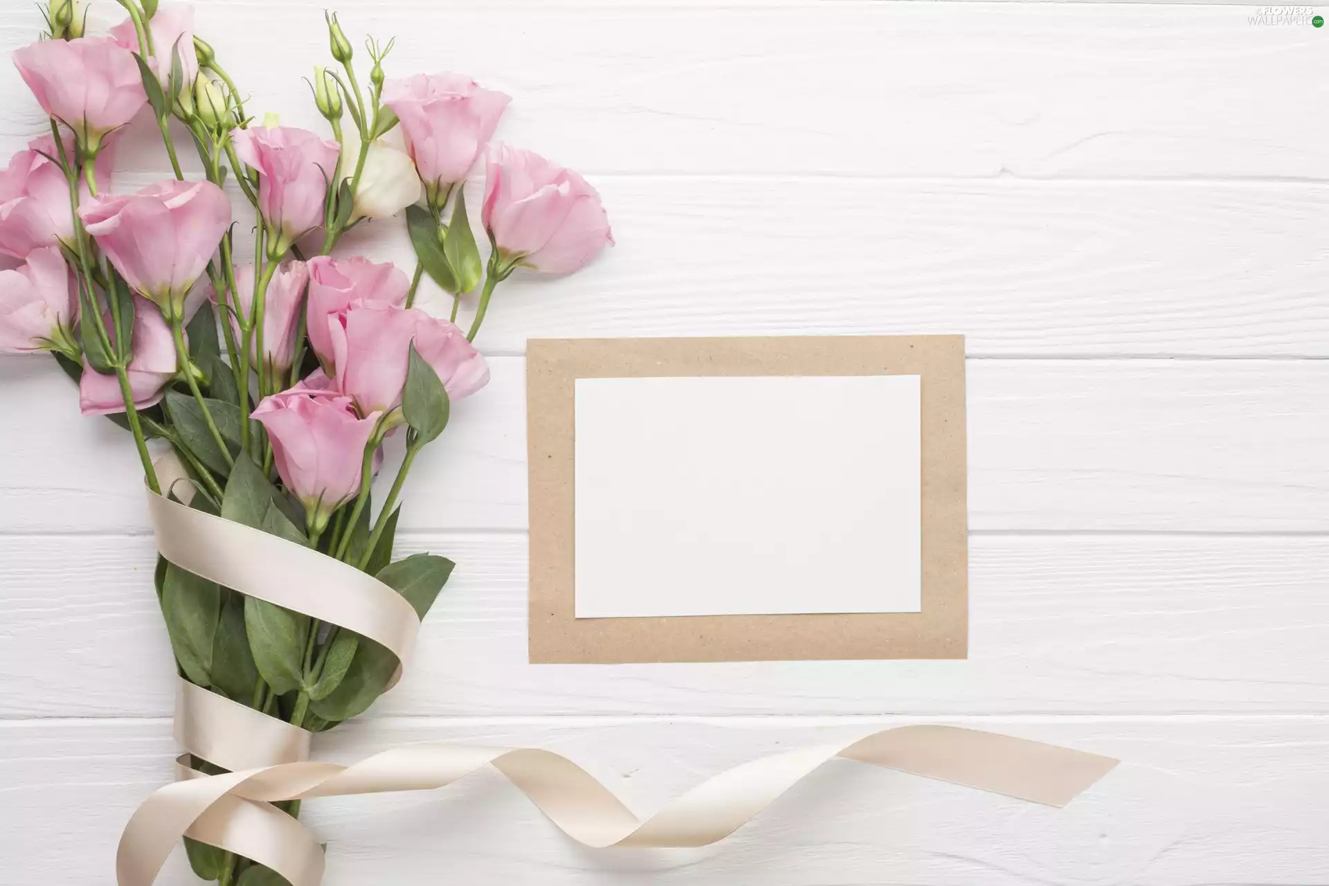 ribbon, Flowers, White, Eustoma, Pink, frame, boarding