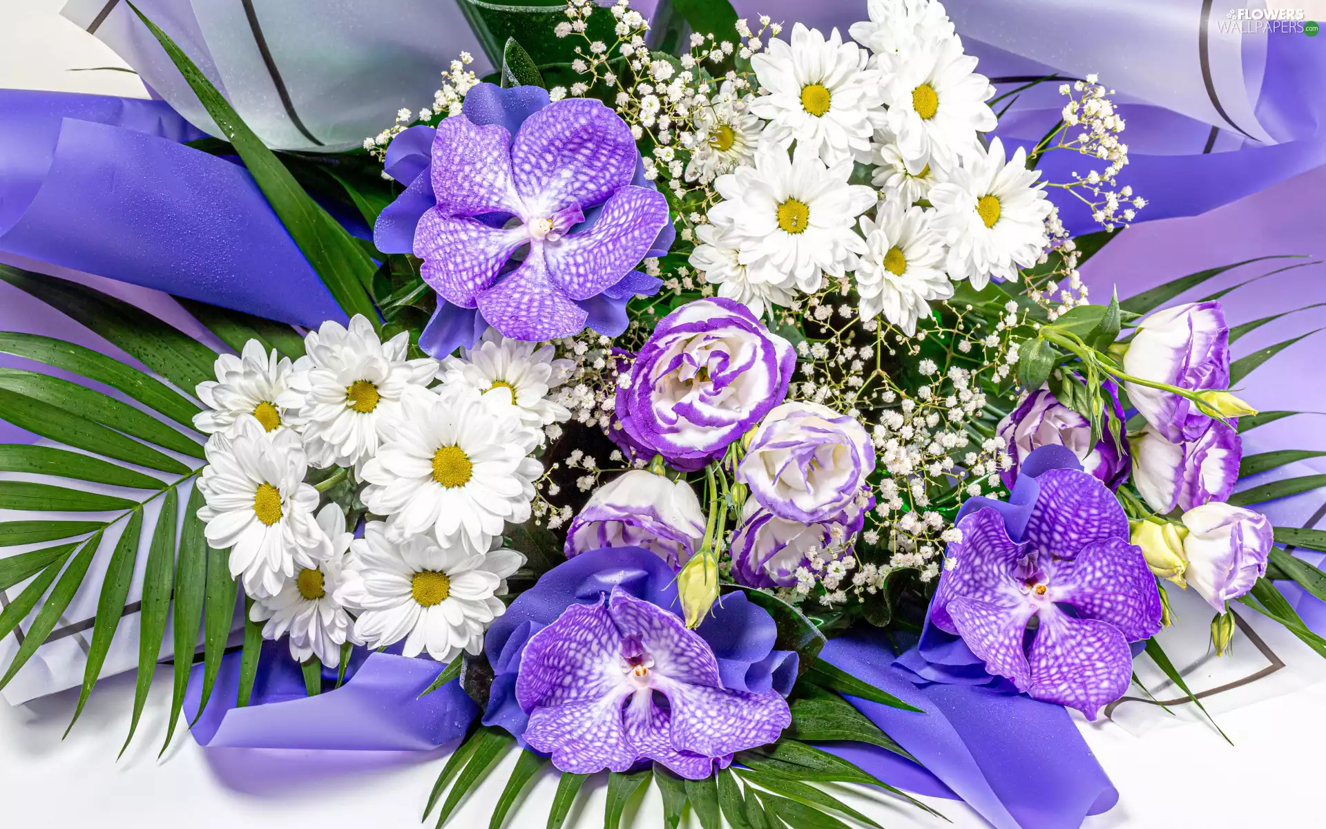 orchids, Eustomy, bouquet, Chrysanthemums, Flowers
