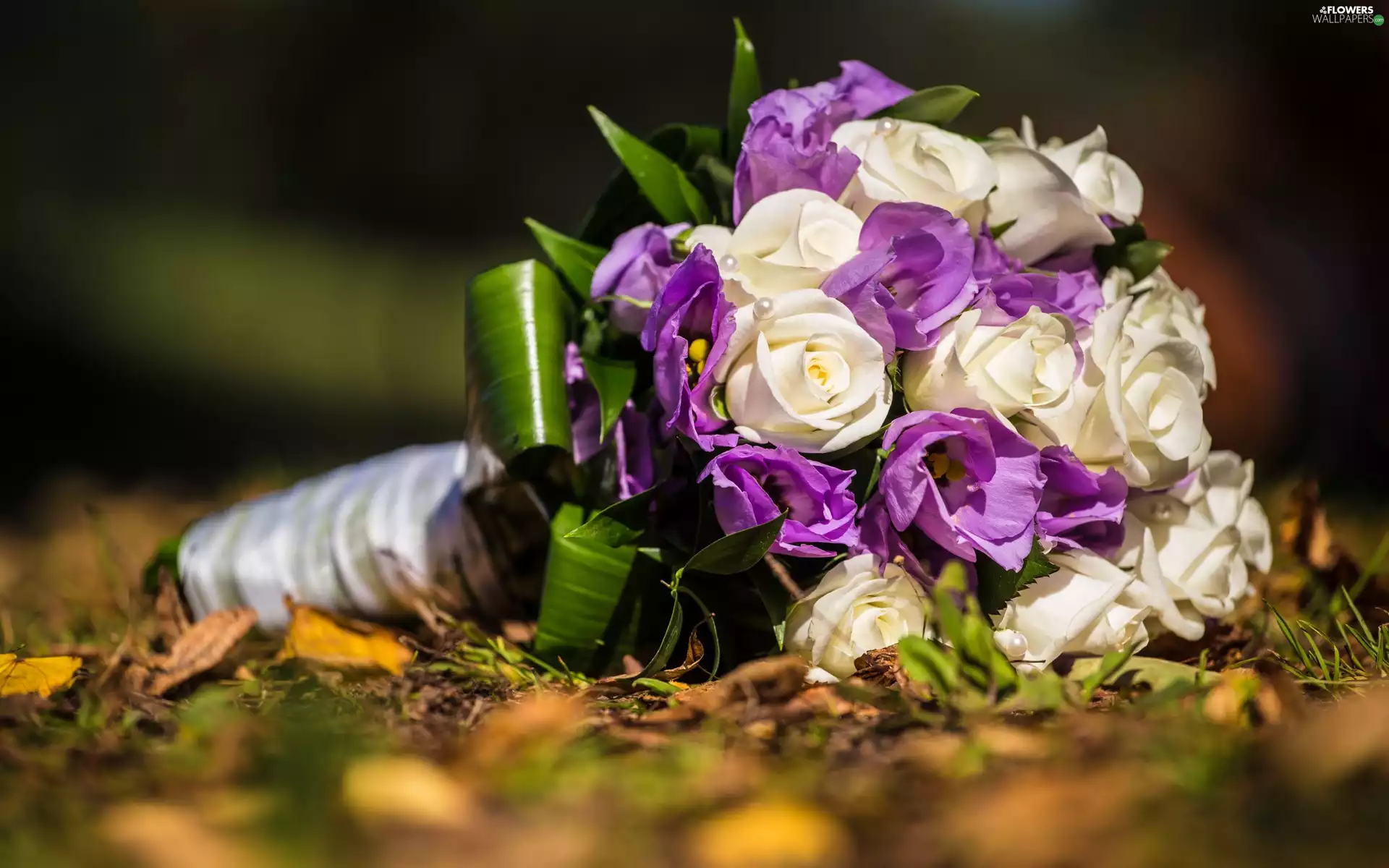 White, bouquet, purple, Eustomy, roses, flowers