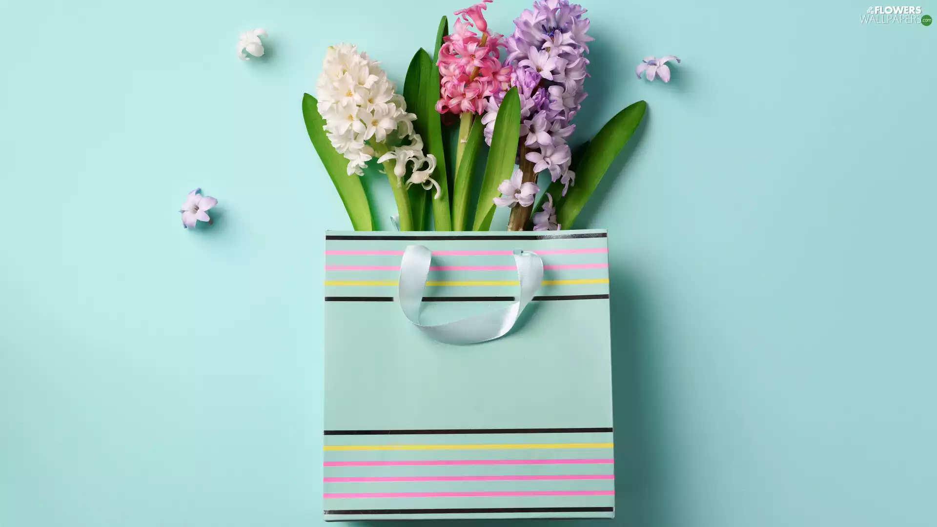 package, Purse, Hyacinths, fancy