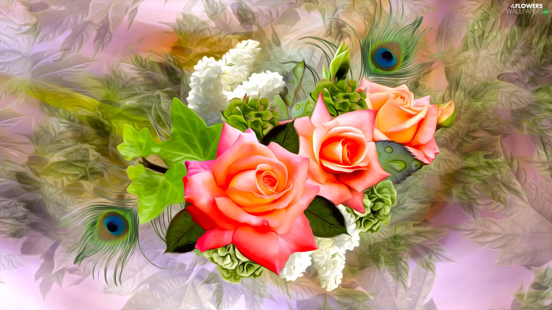 without, Flowers, peacocks feather, graphics, leaves, roses