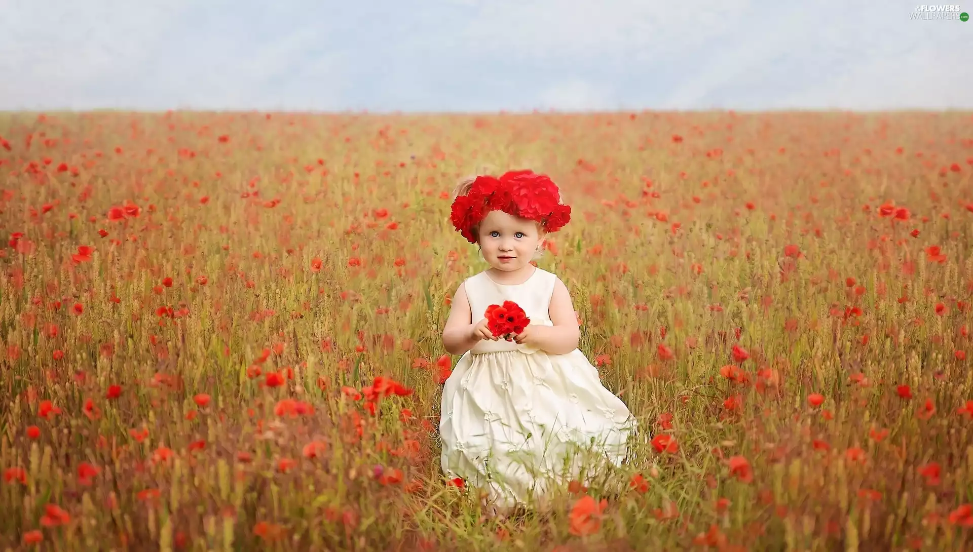 girl, Red, papavers, Field