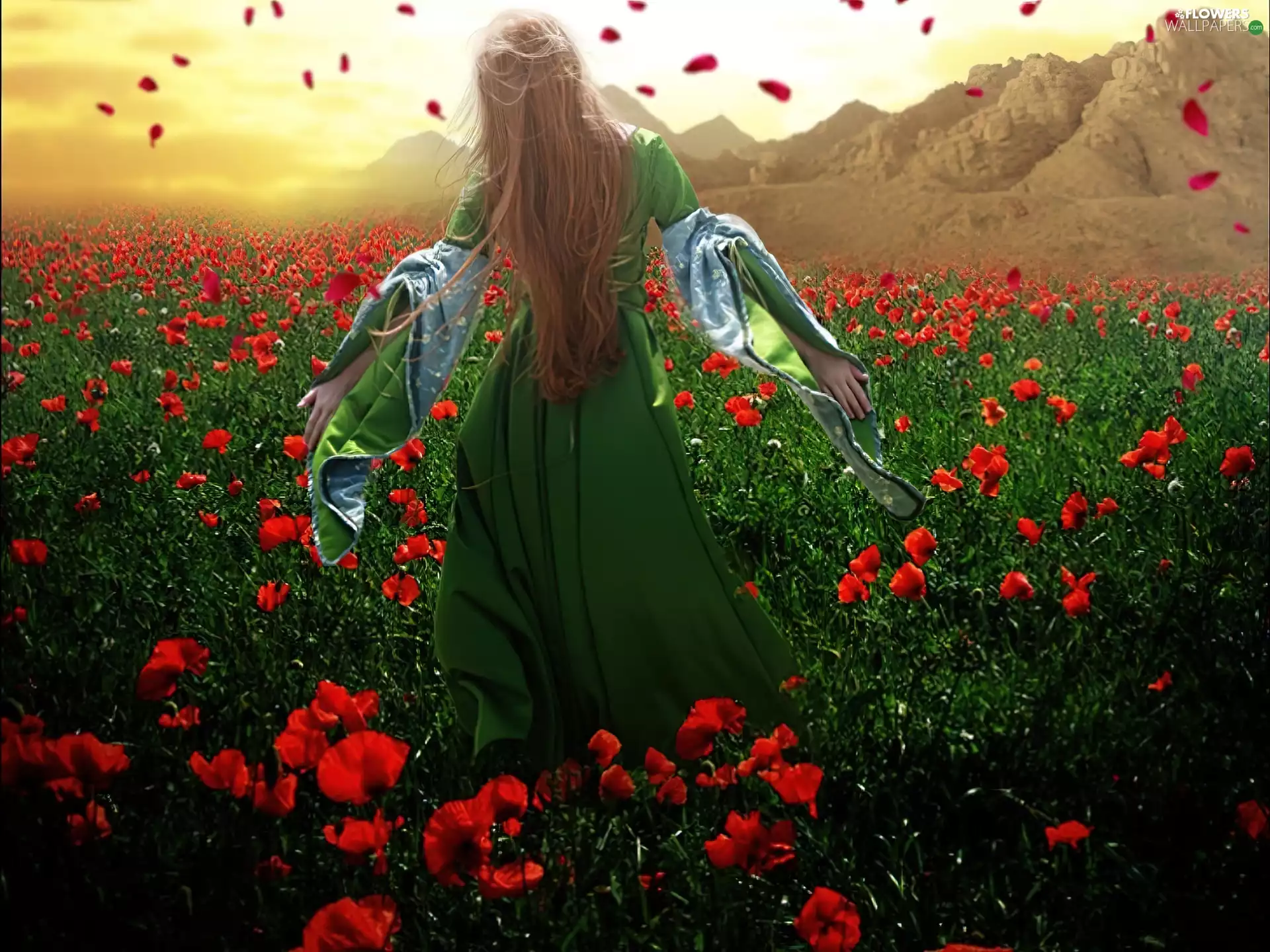 Women, poppy, flakes, Field