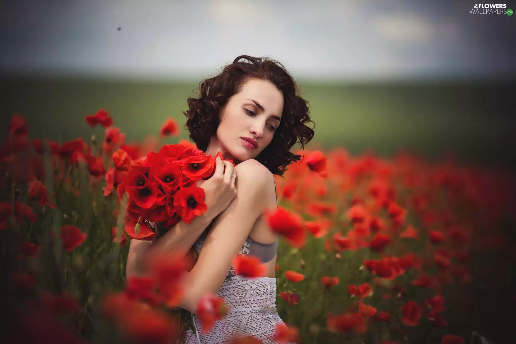 Women, bouquet, papavers, Field