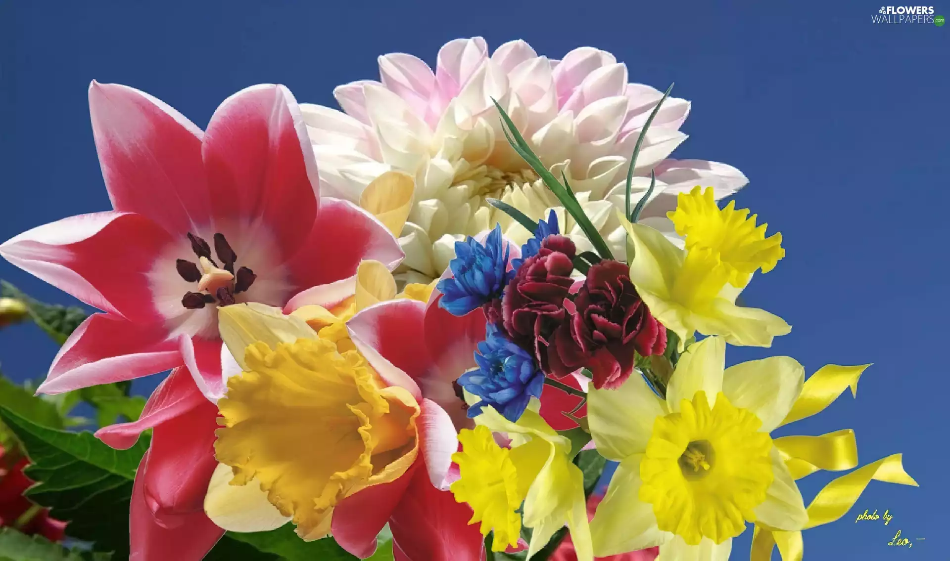 flakes, Flowers, bouquet