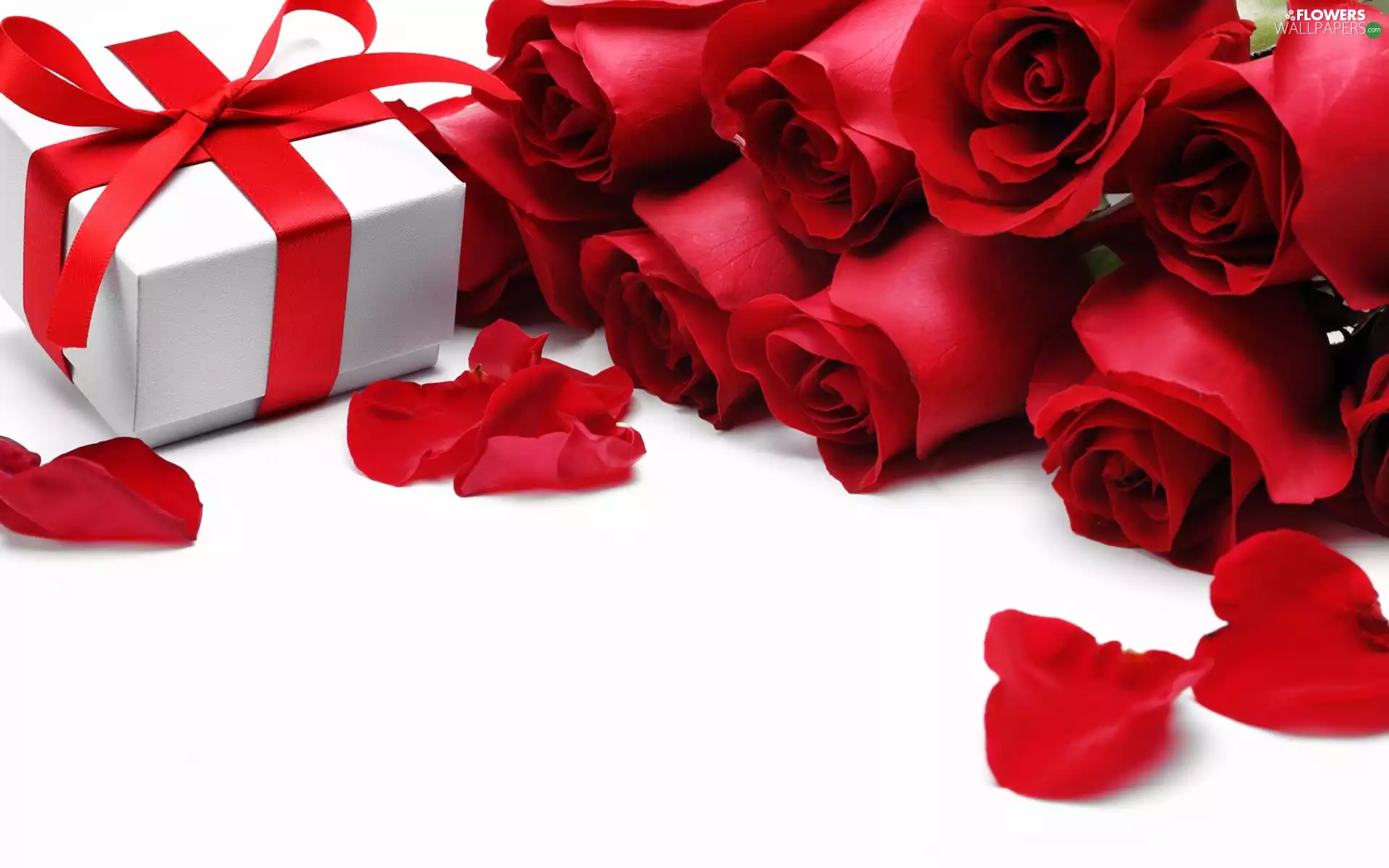 Present, Red Roses, flakes