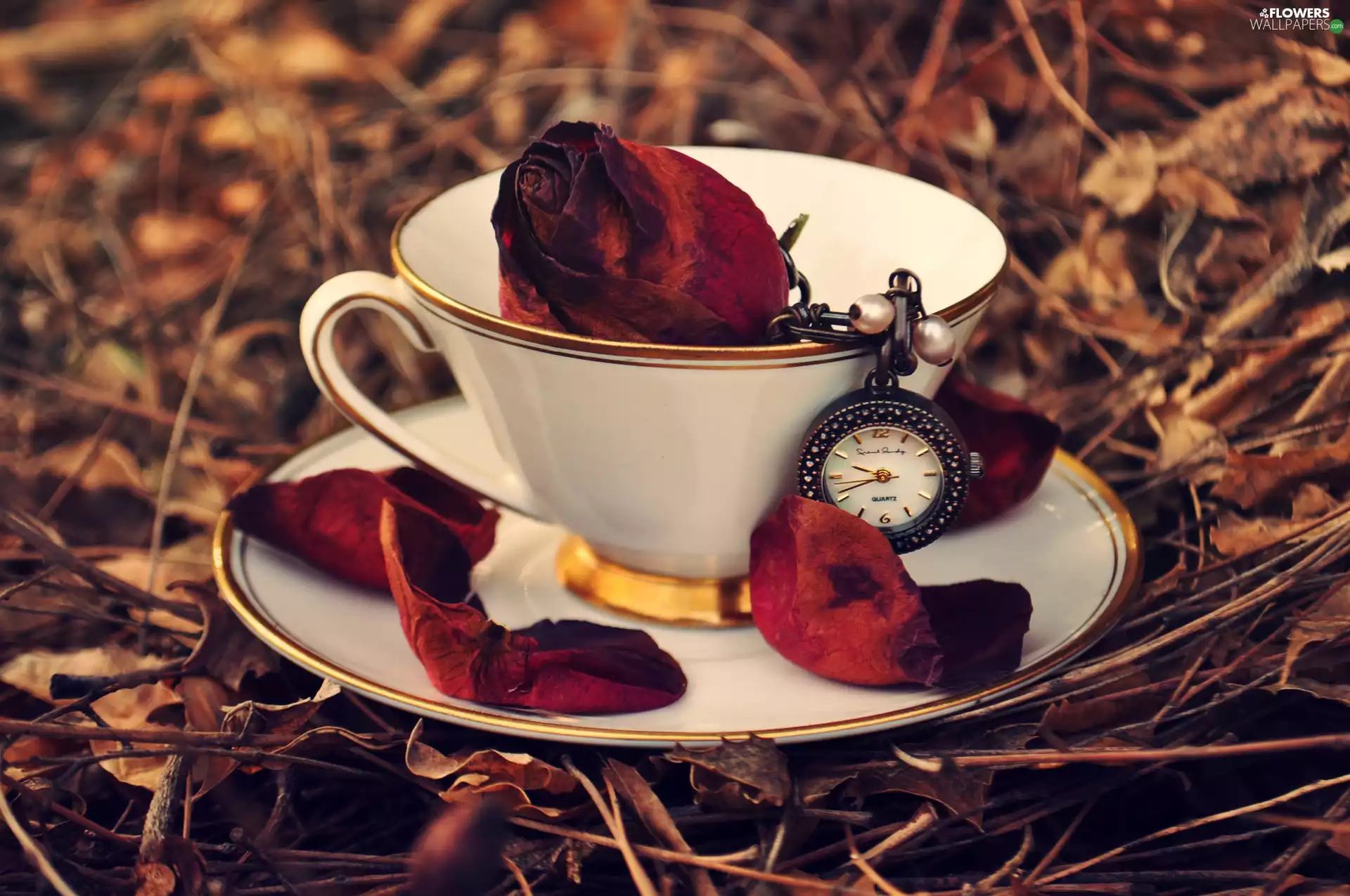 beads, saucer, rose, Watch, cup, Colourfull Flowers, flakes