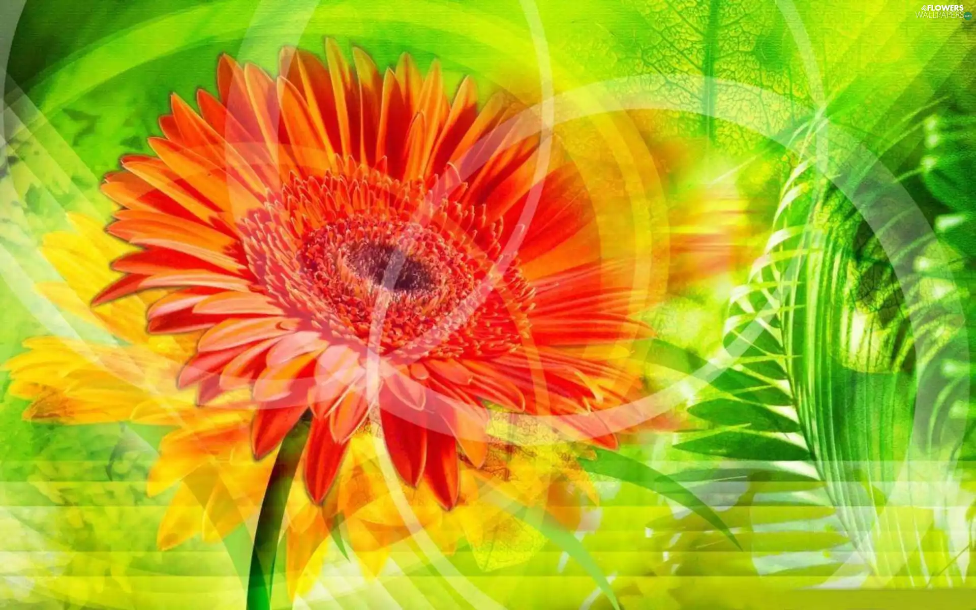 flakes, Gerber, stalk