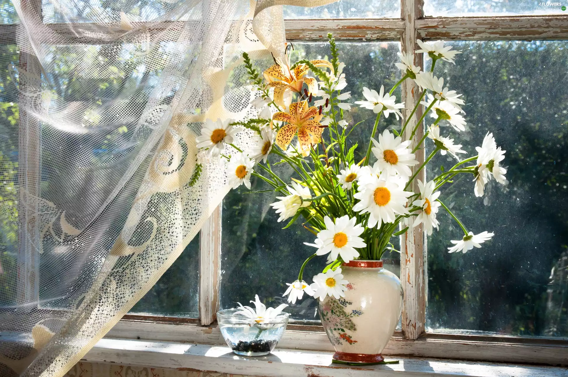 daisy, composition, lilies, Bouquet of Flowers, flash, luminosity, ligh, sun, Window