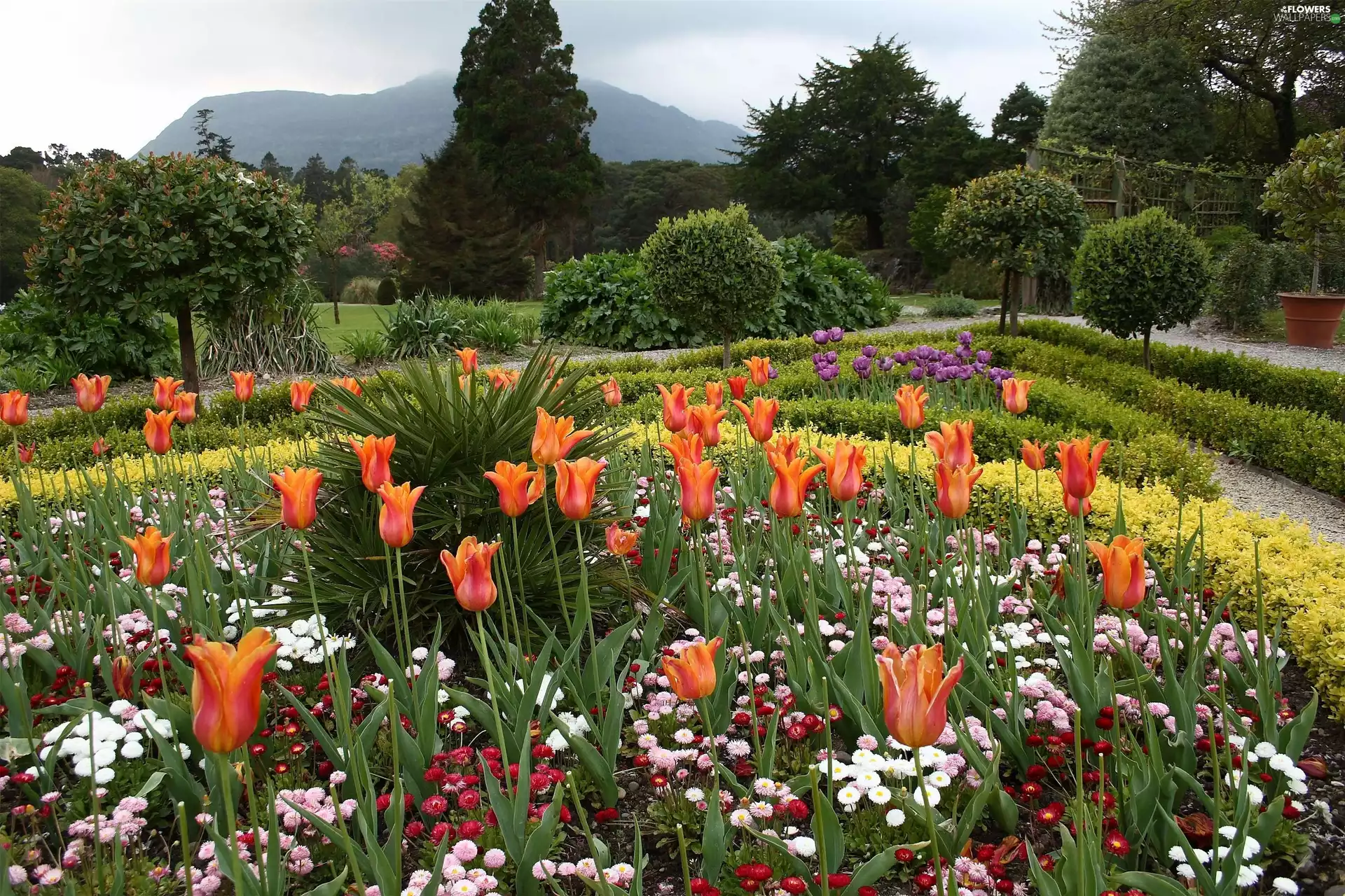 floral, Park, flowerbed