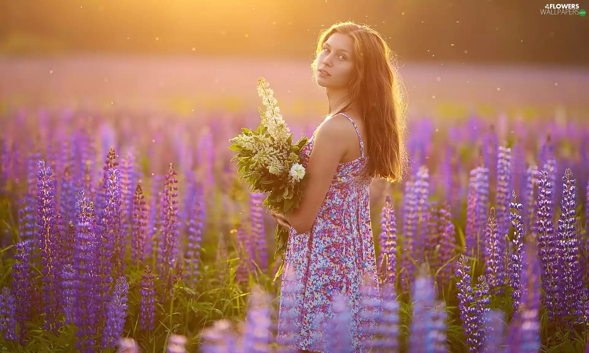 Women, dress, lupine, Floral