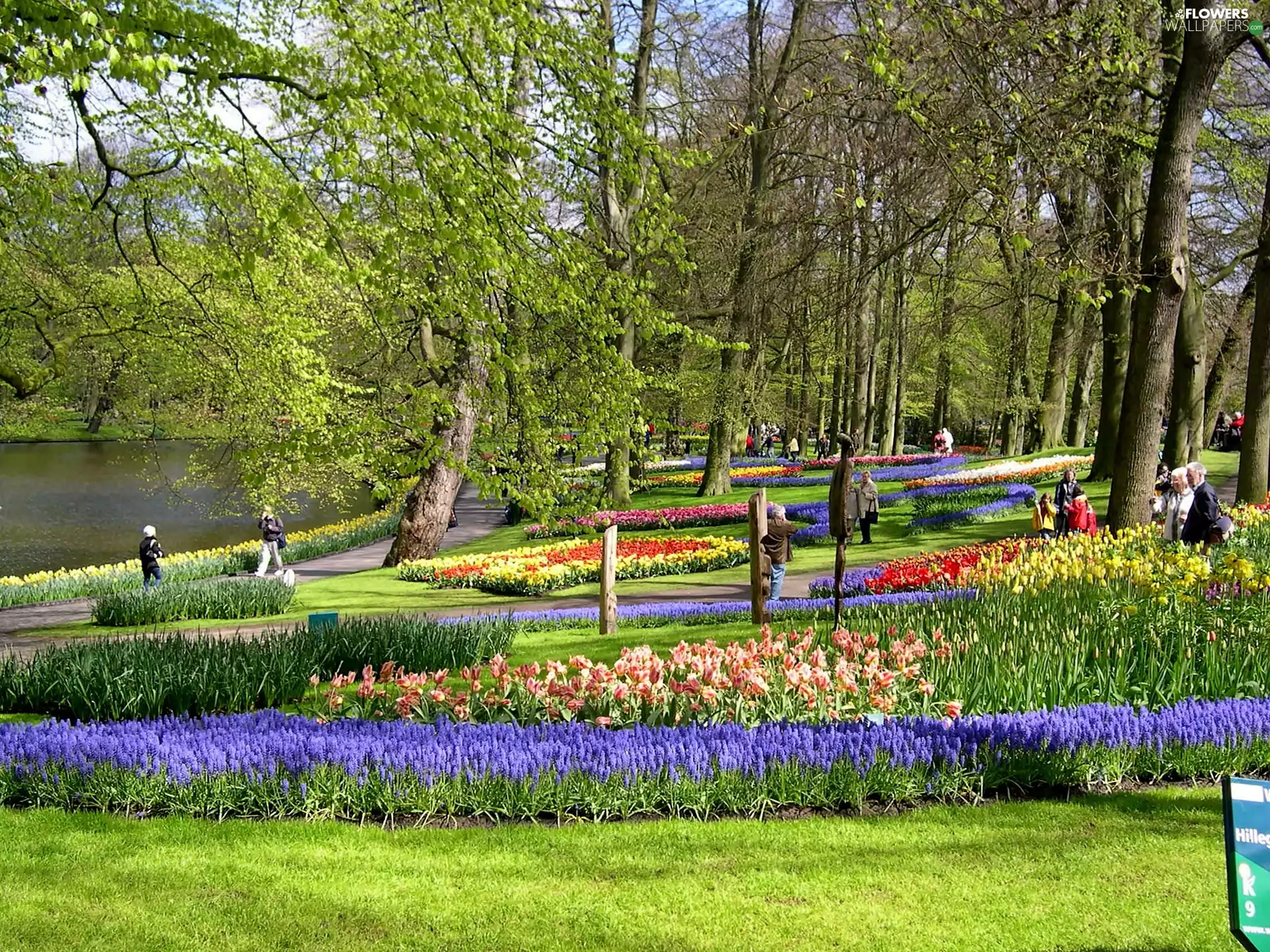 Park, Floral, walkers, Flowerpots