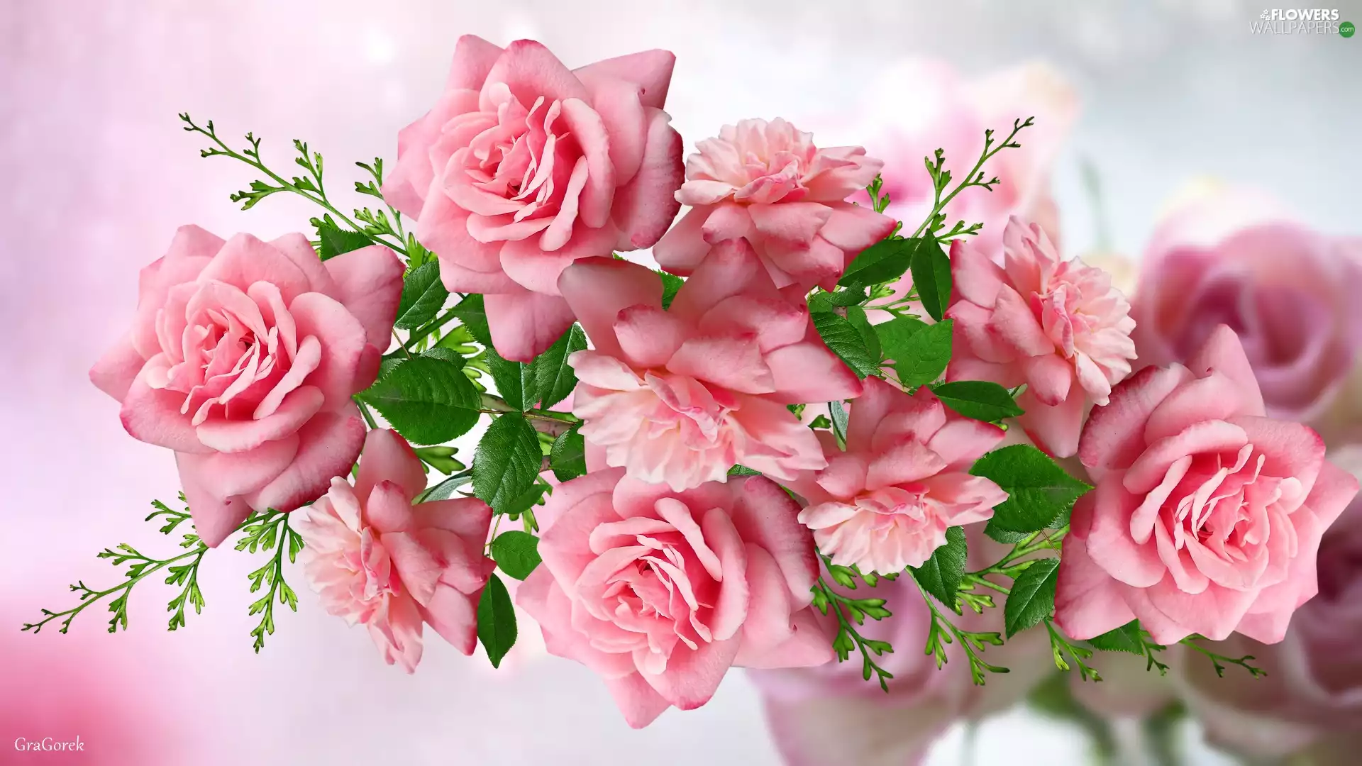 Pink, Flowers, 2D Graphics, roses