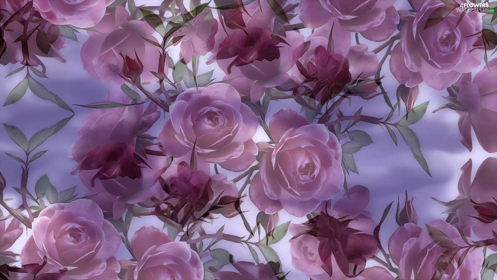 2D, Pink, roses, Flowers