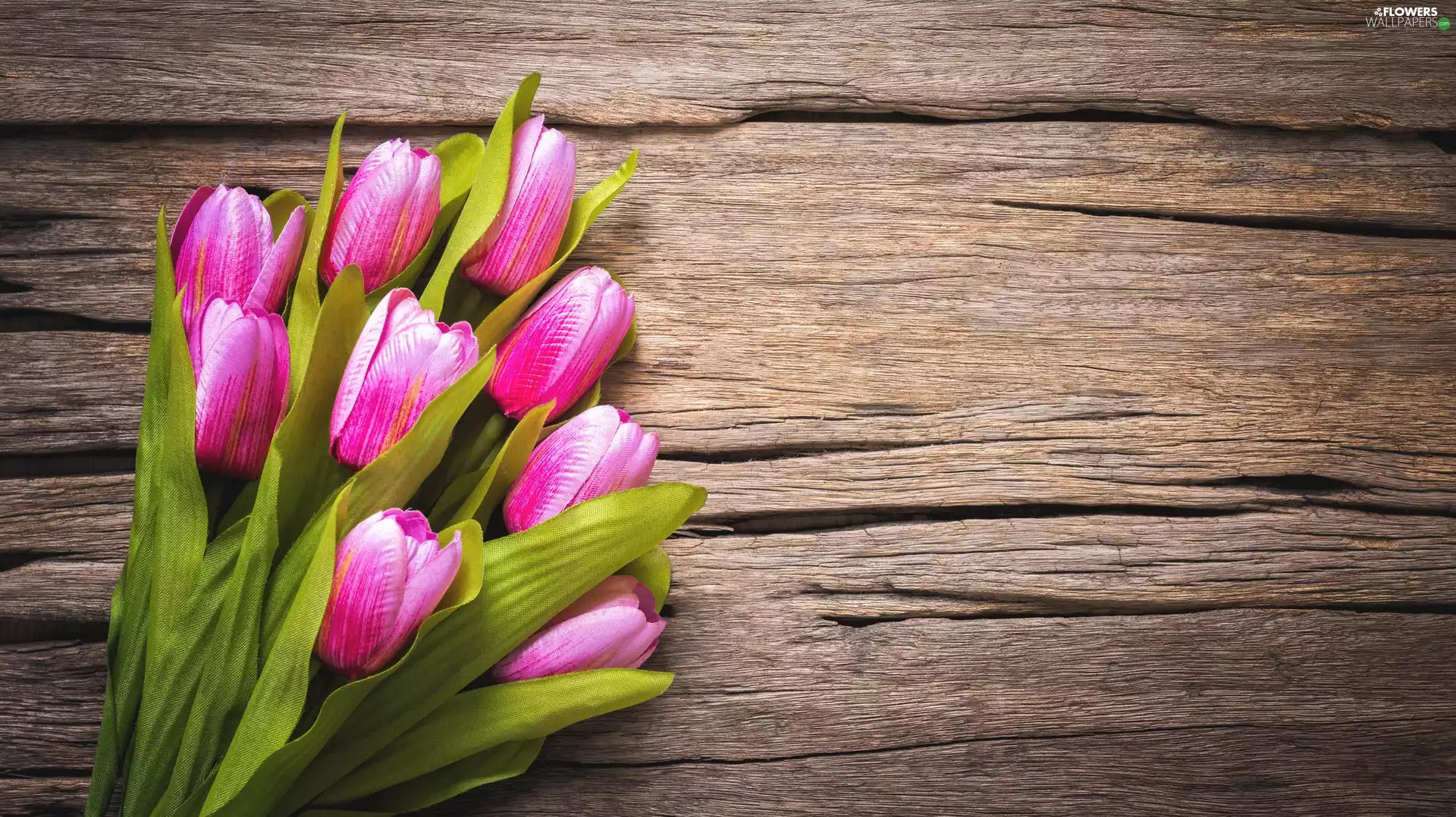 Artificial, Tulips, boarding, Flowers