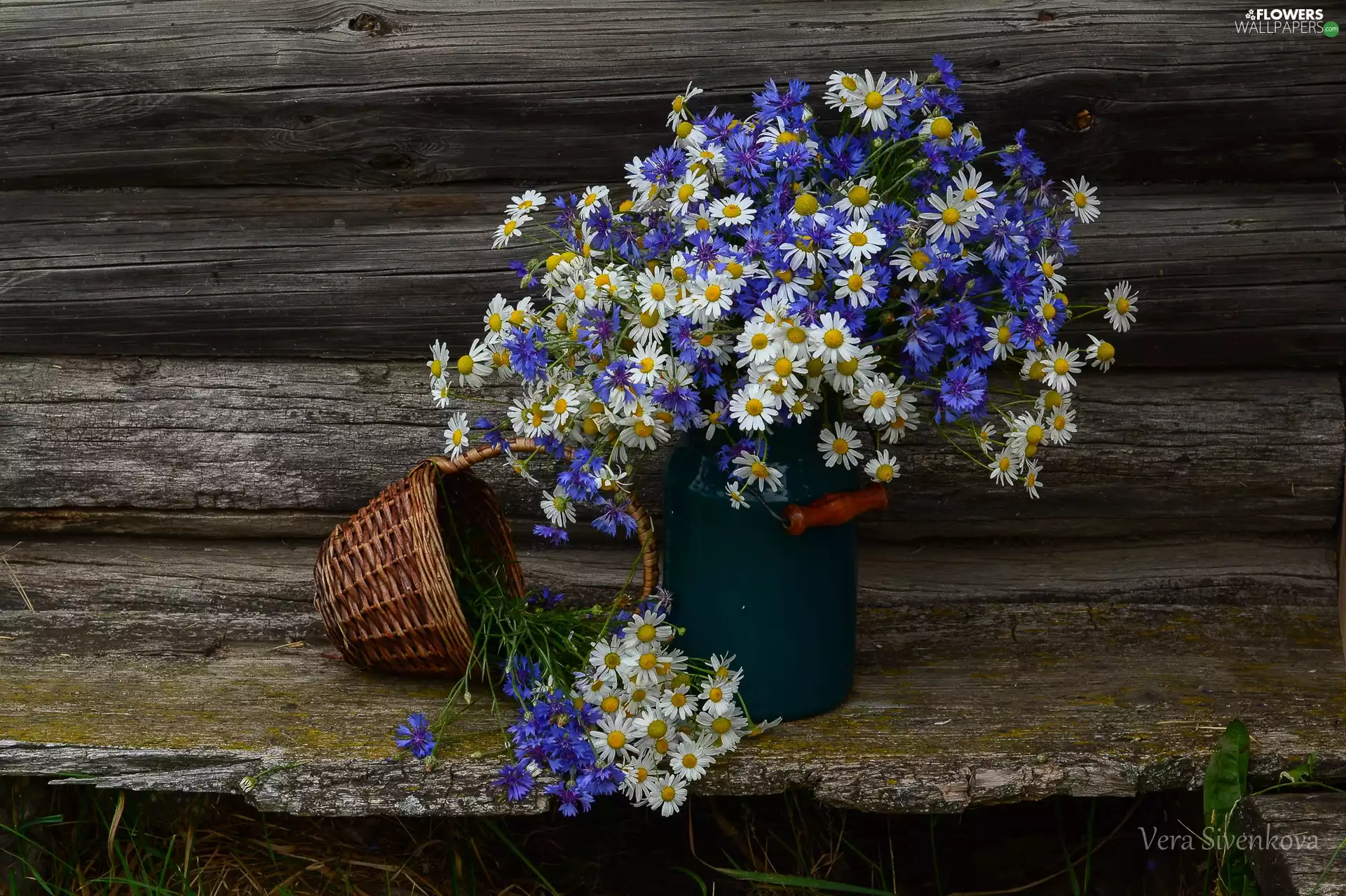cornflowers, bouquet, basket, Flowers, composition, camomiles, bubble