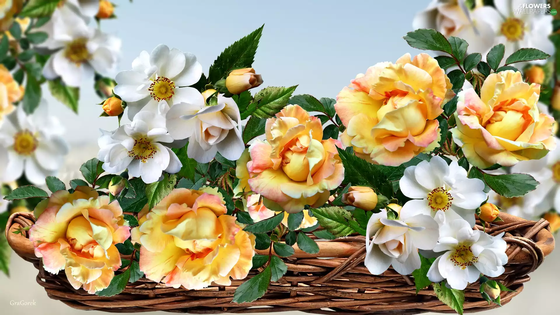 basket, roses, graphics, Flowers