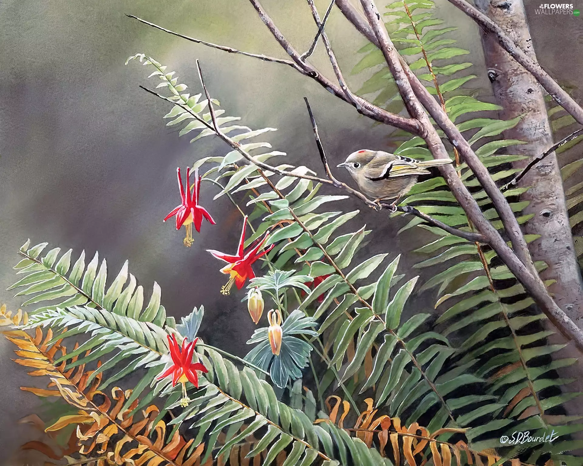Bird, Fern, Colourfull Flowers
