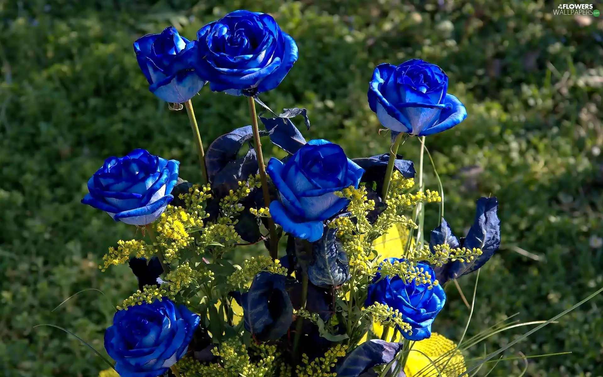 Yellow, Flowers, Blue, roses, bouquet