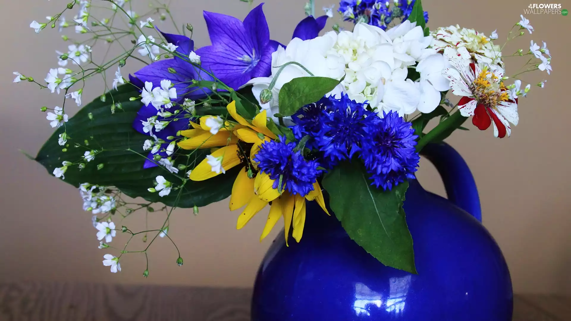 blue, color, Flowers, bowl