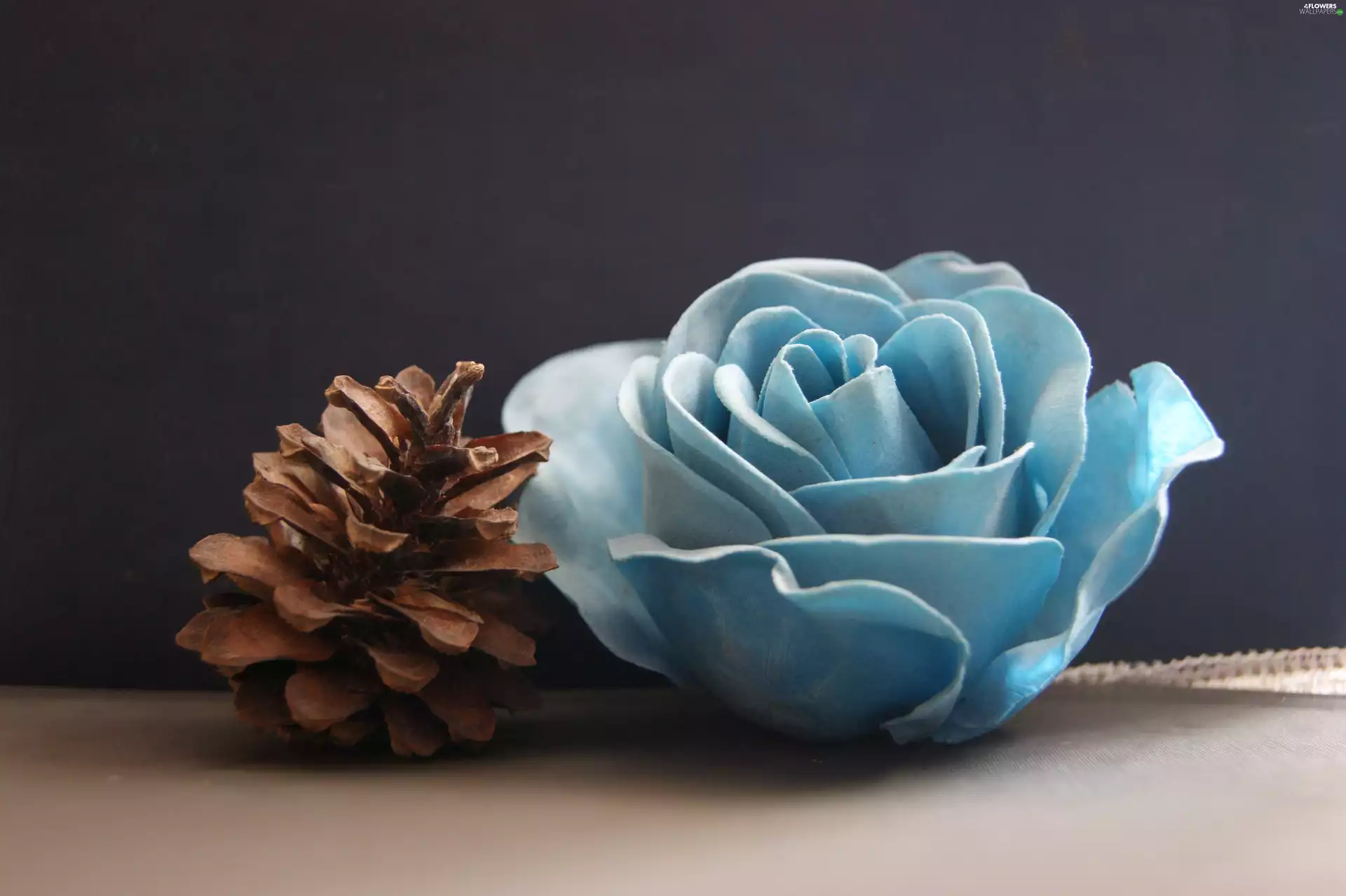 blue, cone, Colourfull Flowers