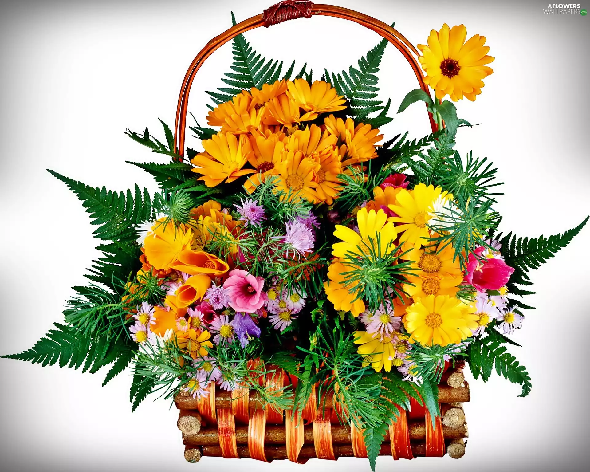 Flowers, basket, bouquet