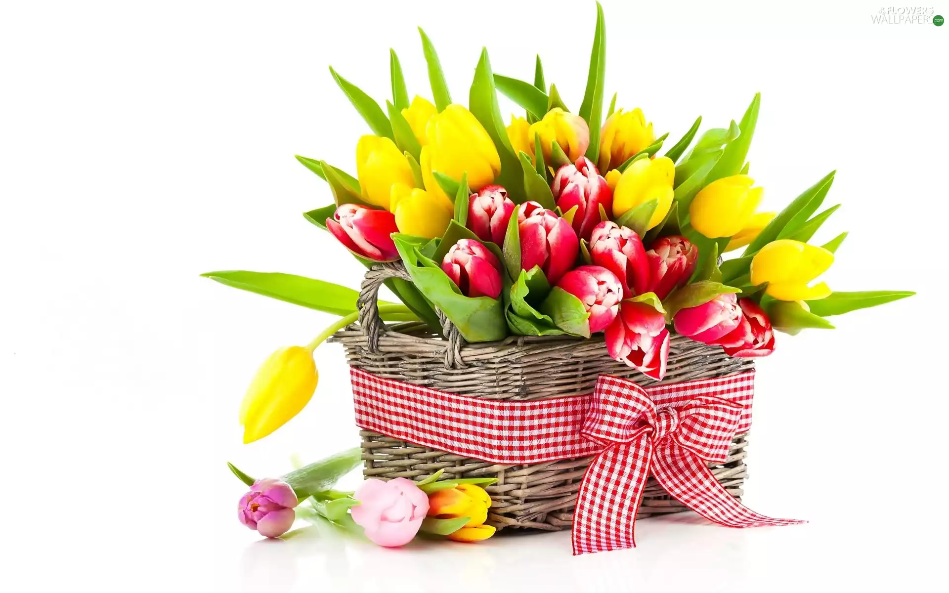 bouquet, Tulips, basket, flowers