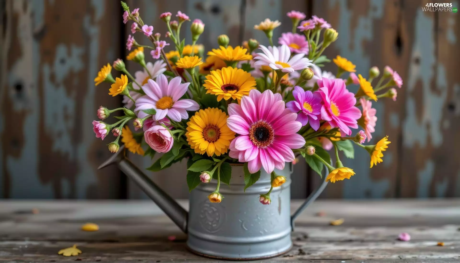 watering can, boarding, Flowers, color, bouquet