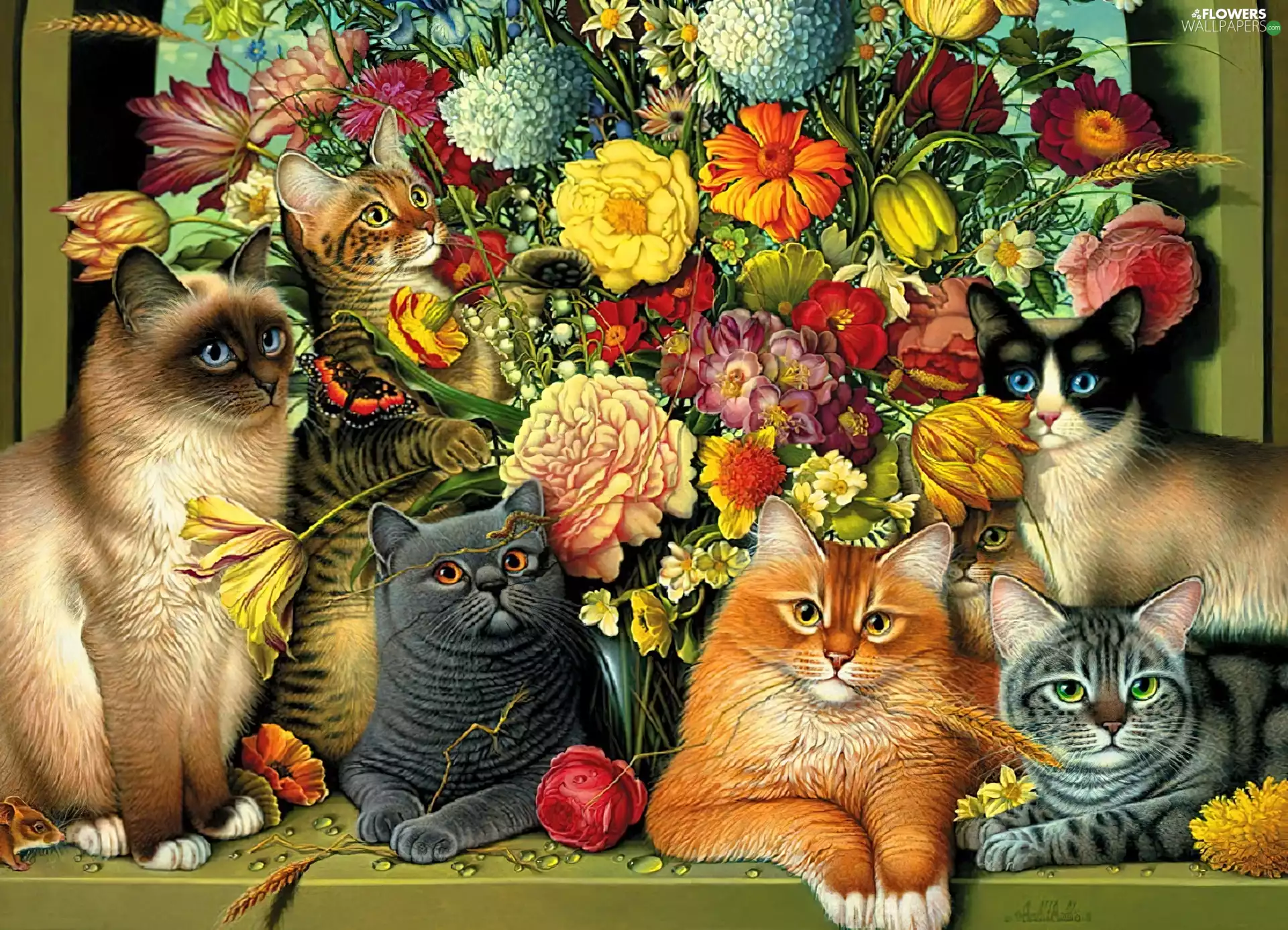 flowers, cats, bouquet