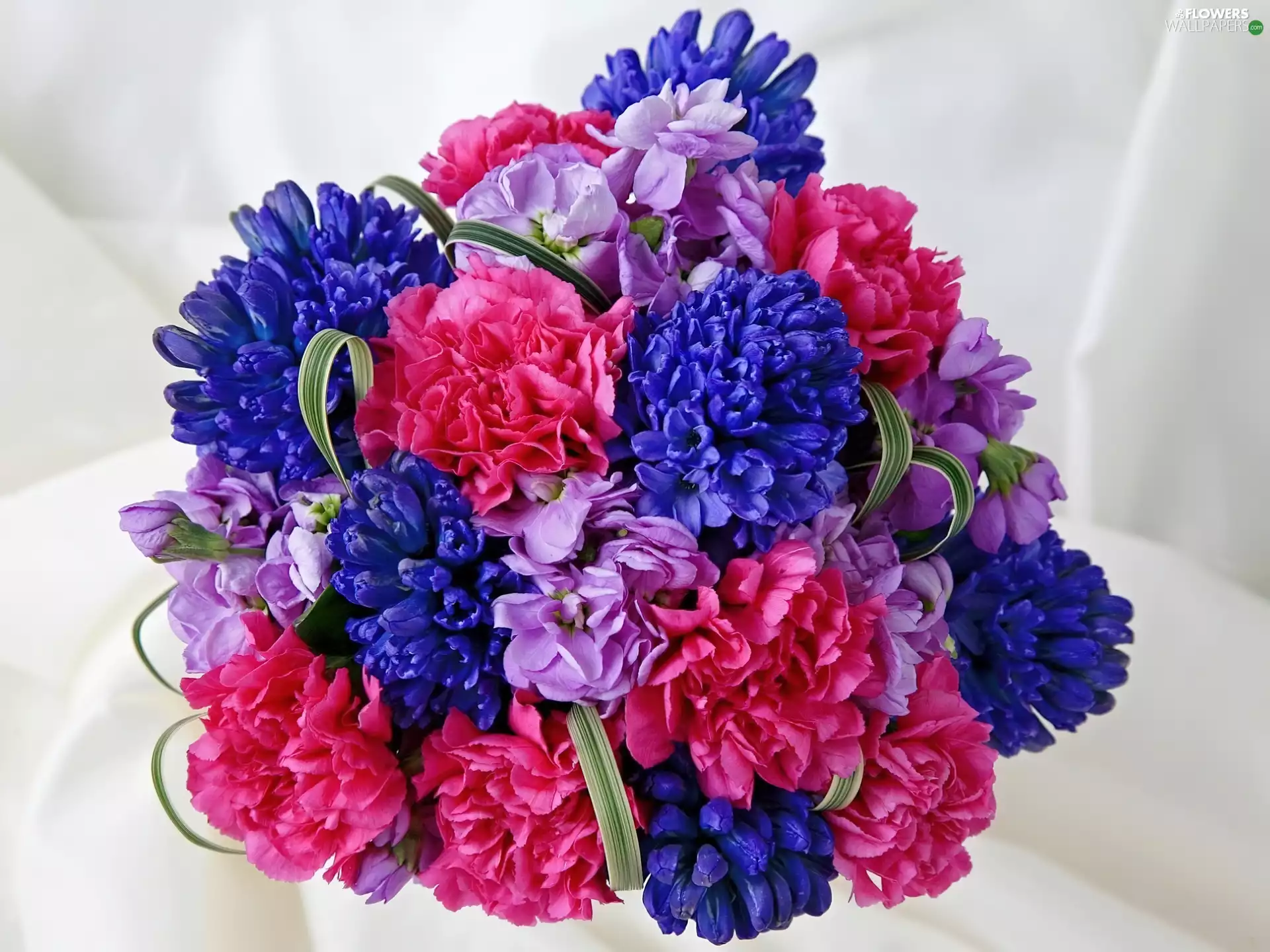 flowers, color, bouquet
