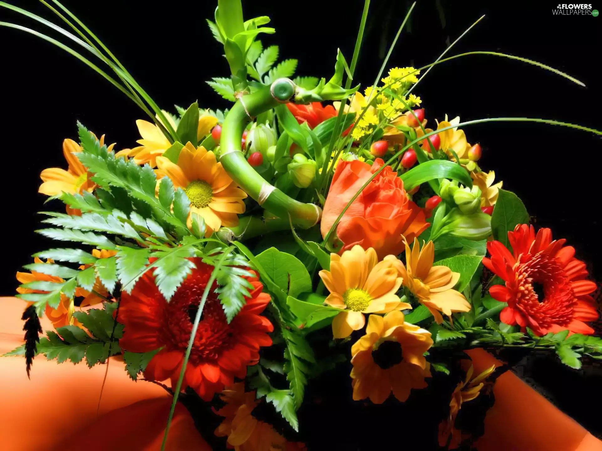 flowers, color, bouquet