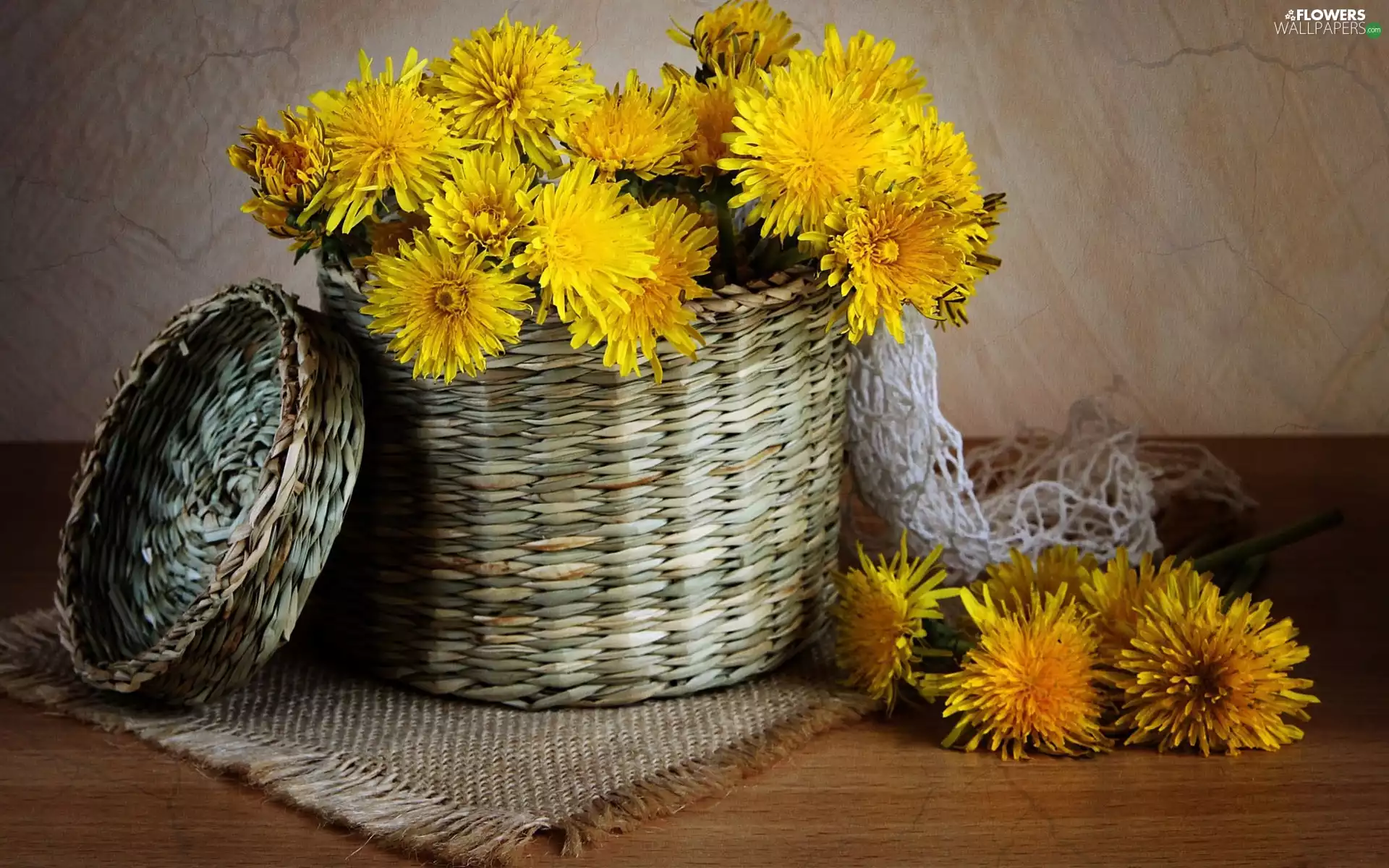composition, Common Dandelion, flowers, basket, bouquet