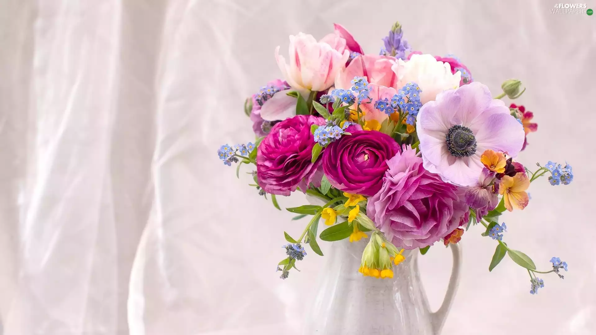 bouquet, anemone, glaucoma, Flowers