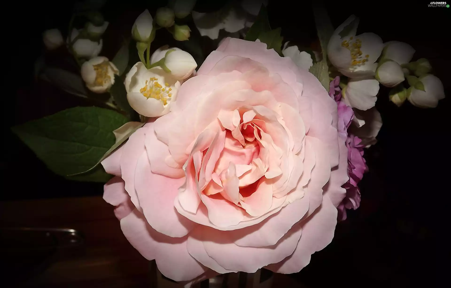 bouquet, rose, jasmine, flowers