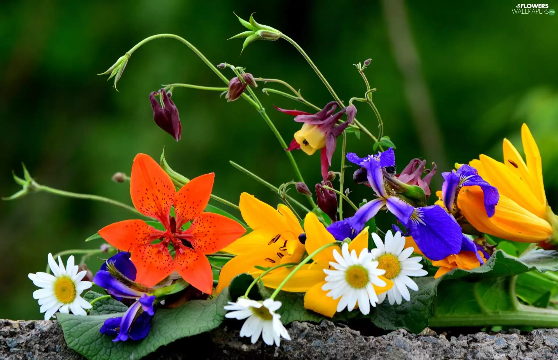 bouquet, leaf, ledge, flowers