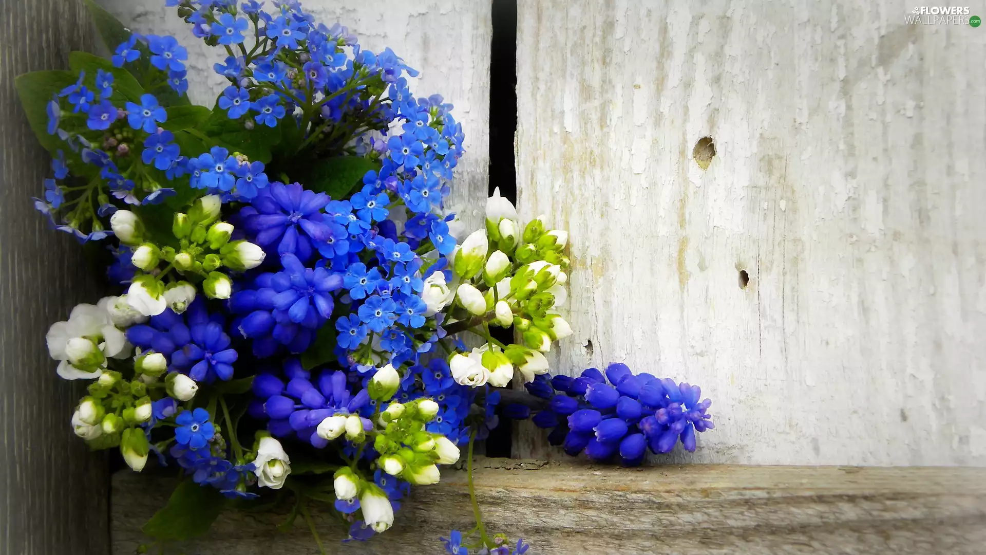 bouquet, Forget, Muscari, flowers