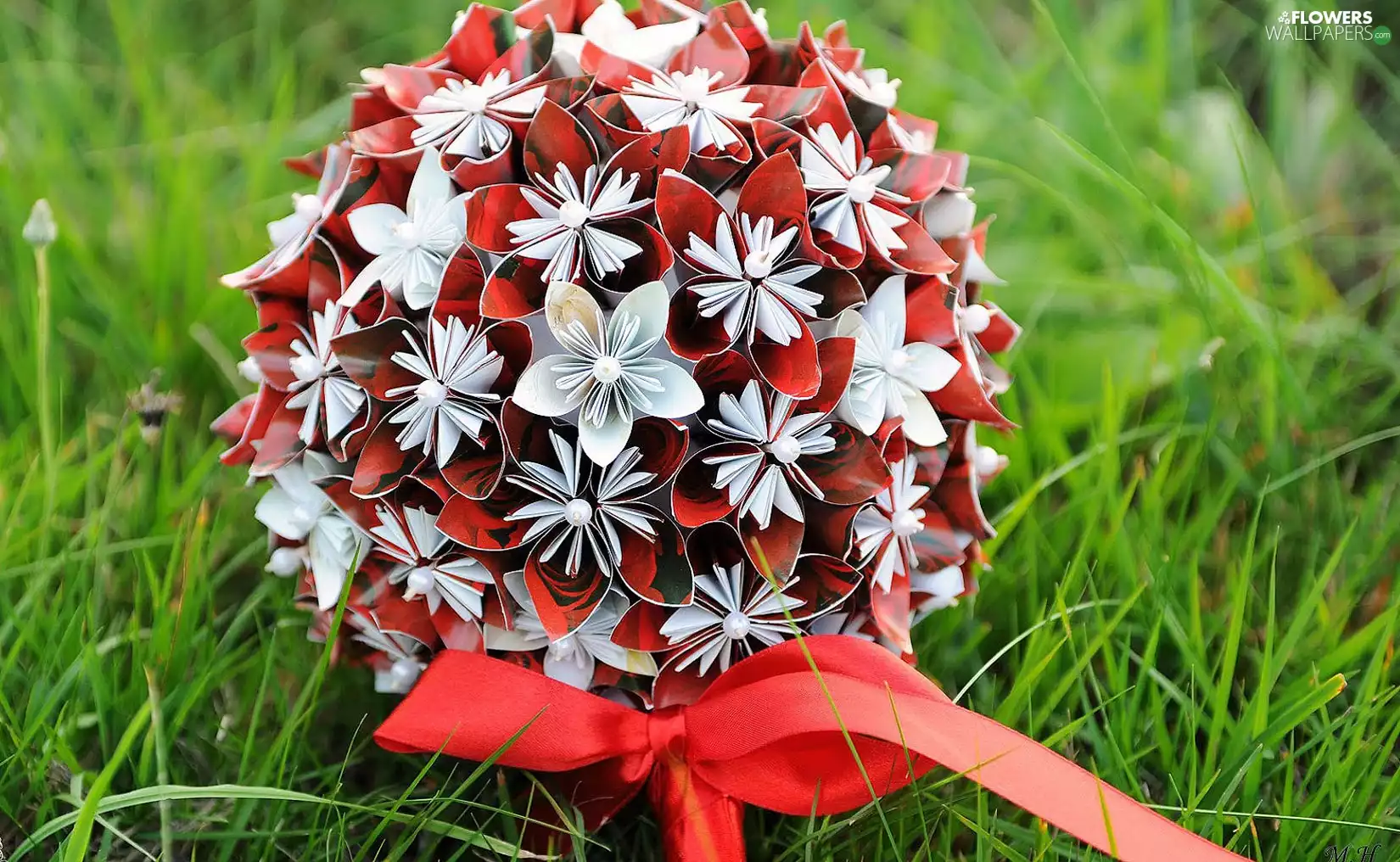 bouquet, White, Red, Flowers