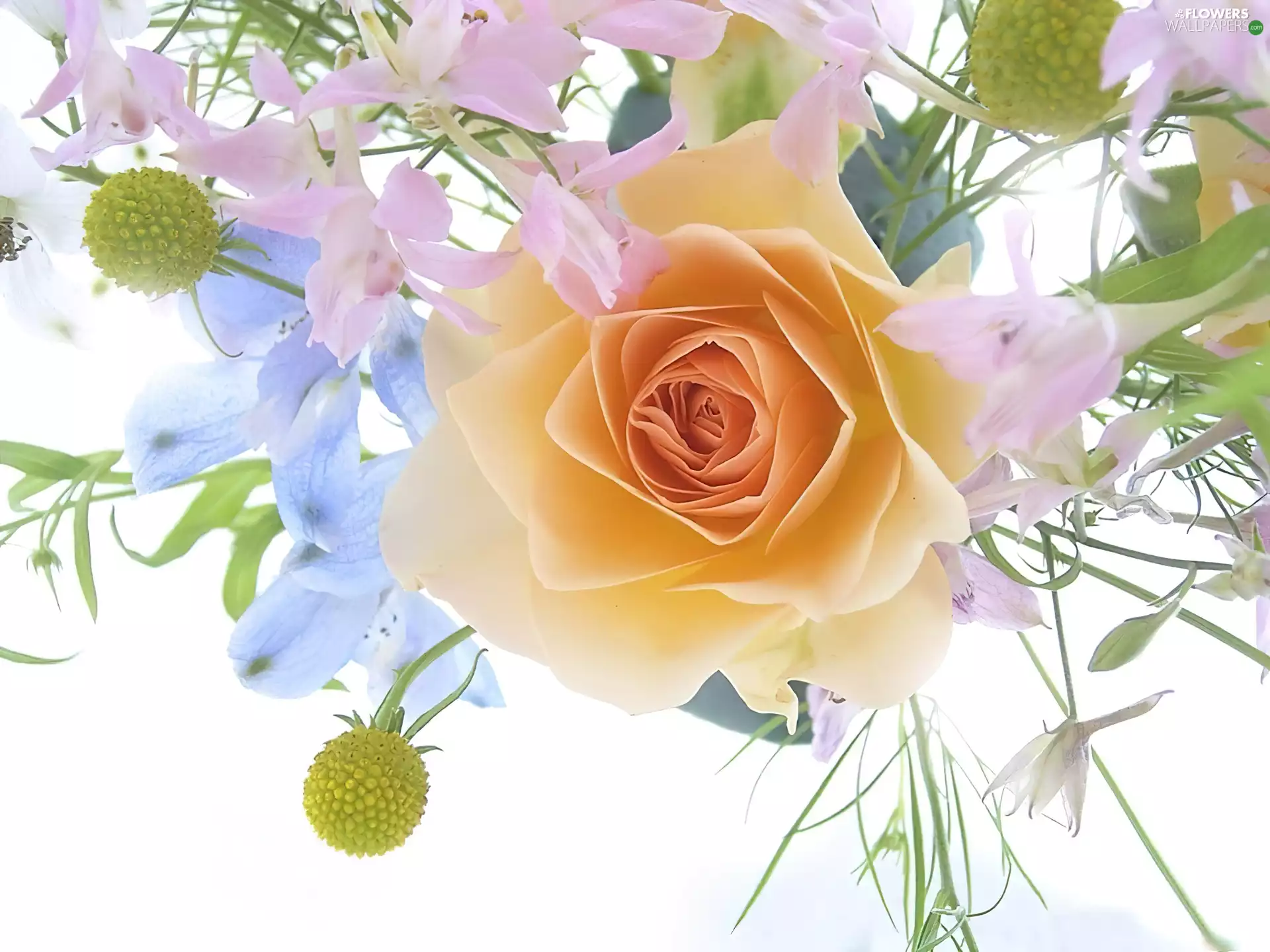 bouquet, tea, rose, flowers