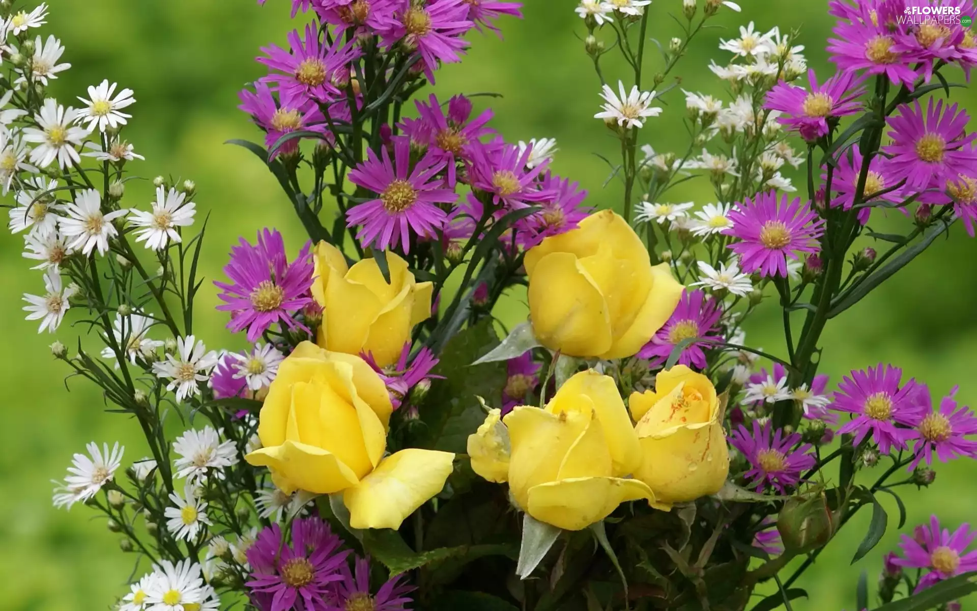 bouquet, Yellow, roses, flowers