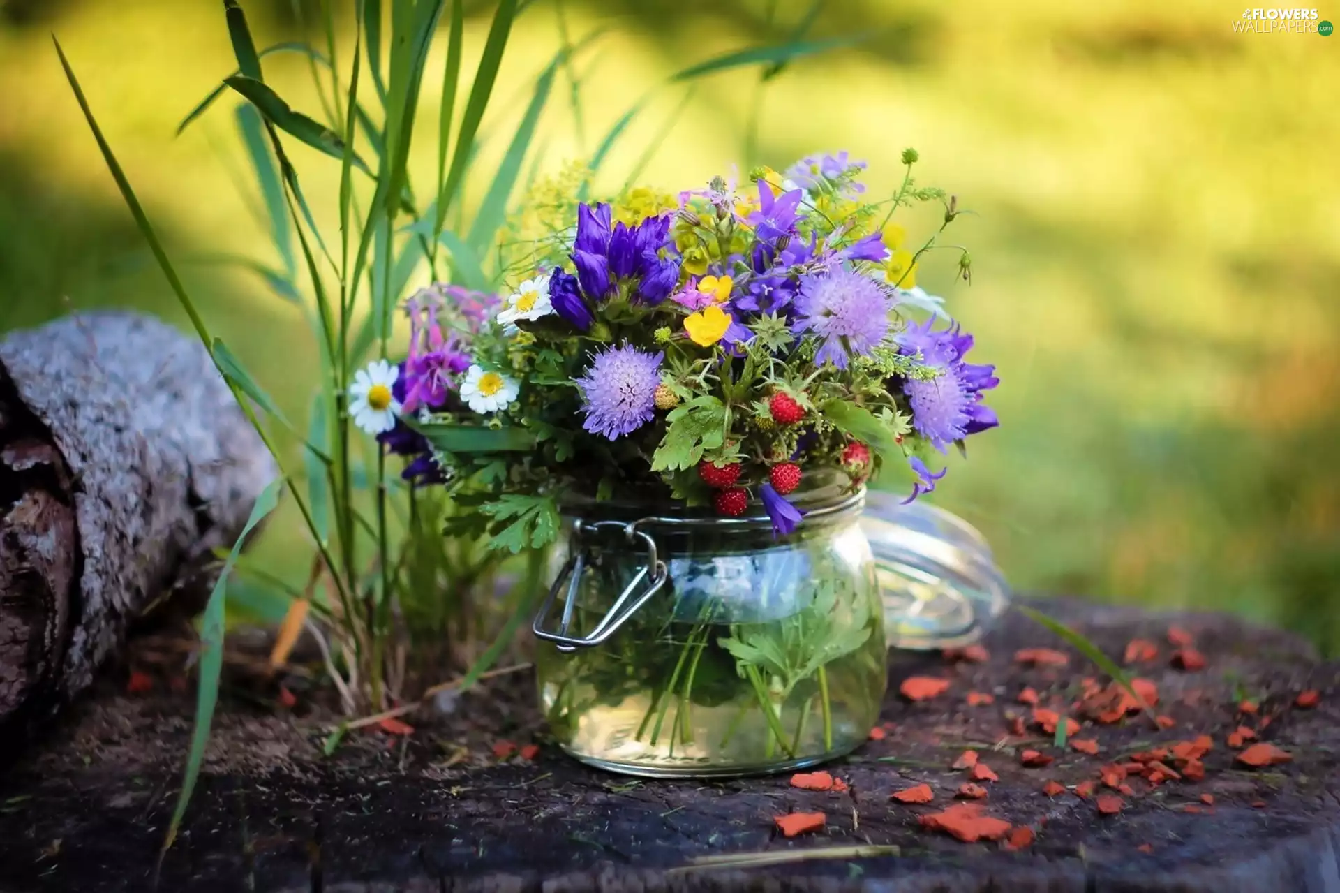 Strawberries, jar, wild, flowers, small bunch
