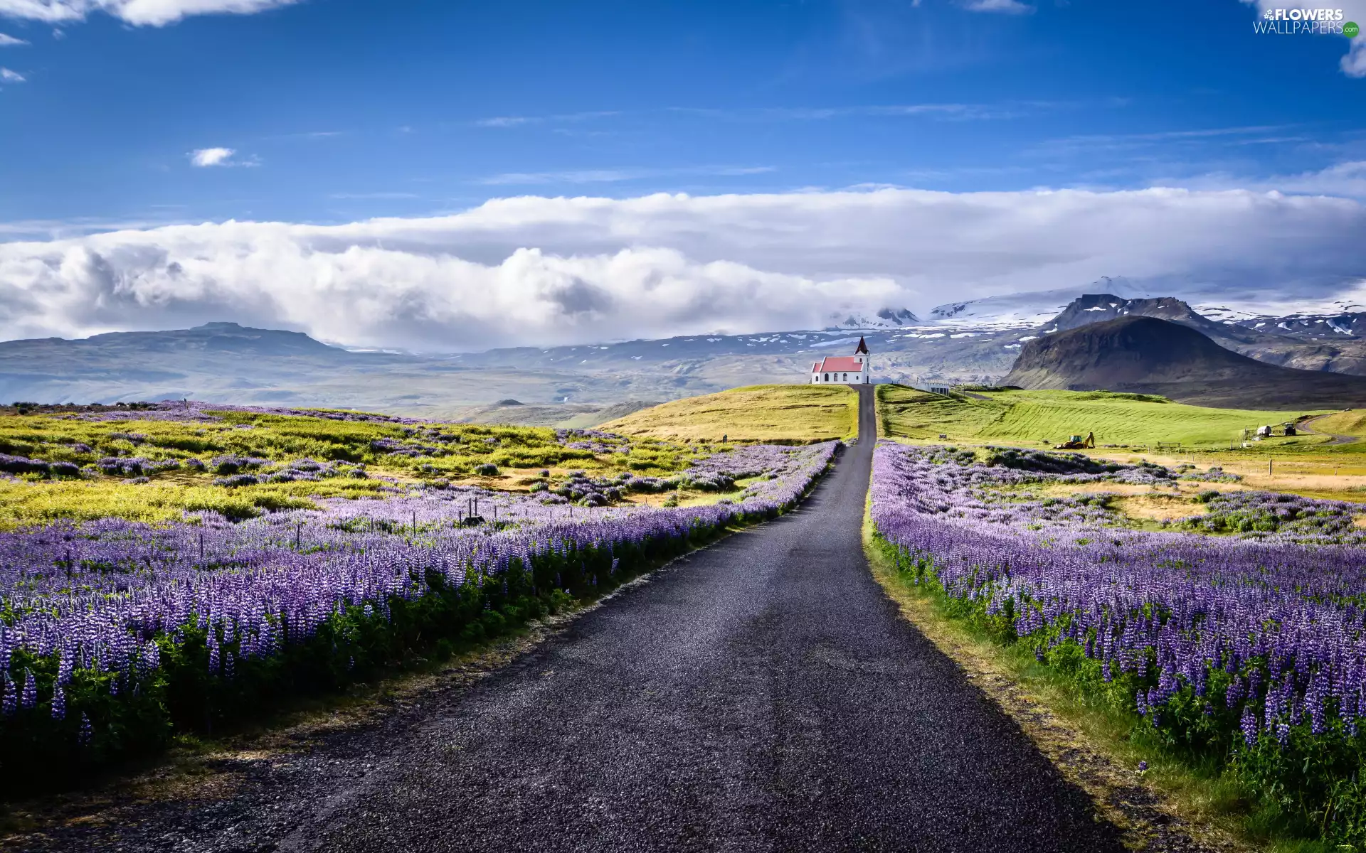 Flowers, lupine, iceland, Mountains, Snaefellsnes Peninsula, clouds, Way, Church
