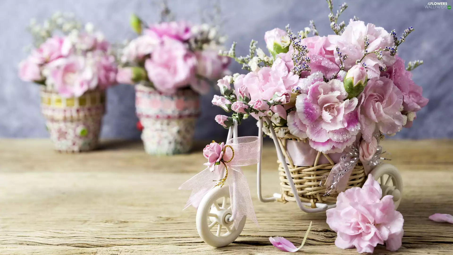 Clove Pink, Bike, Flowers