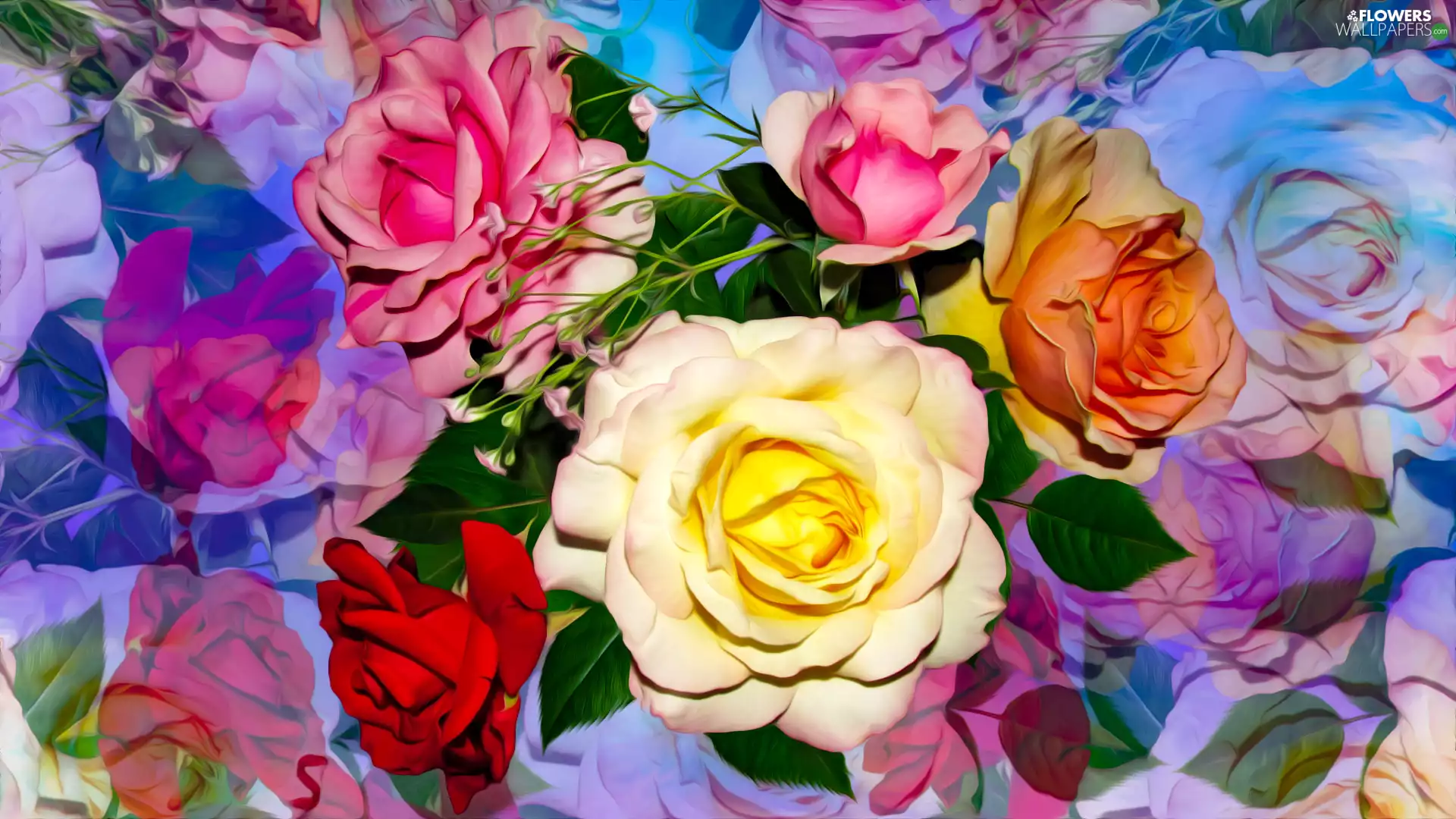 color, roses, graphics, Flowers